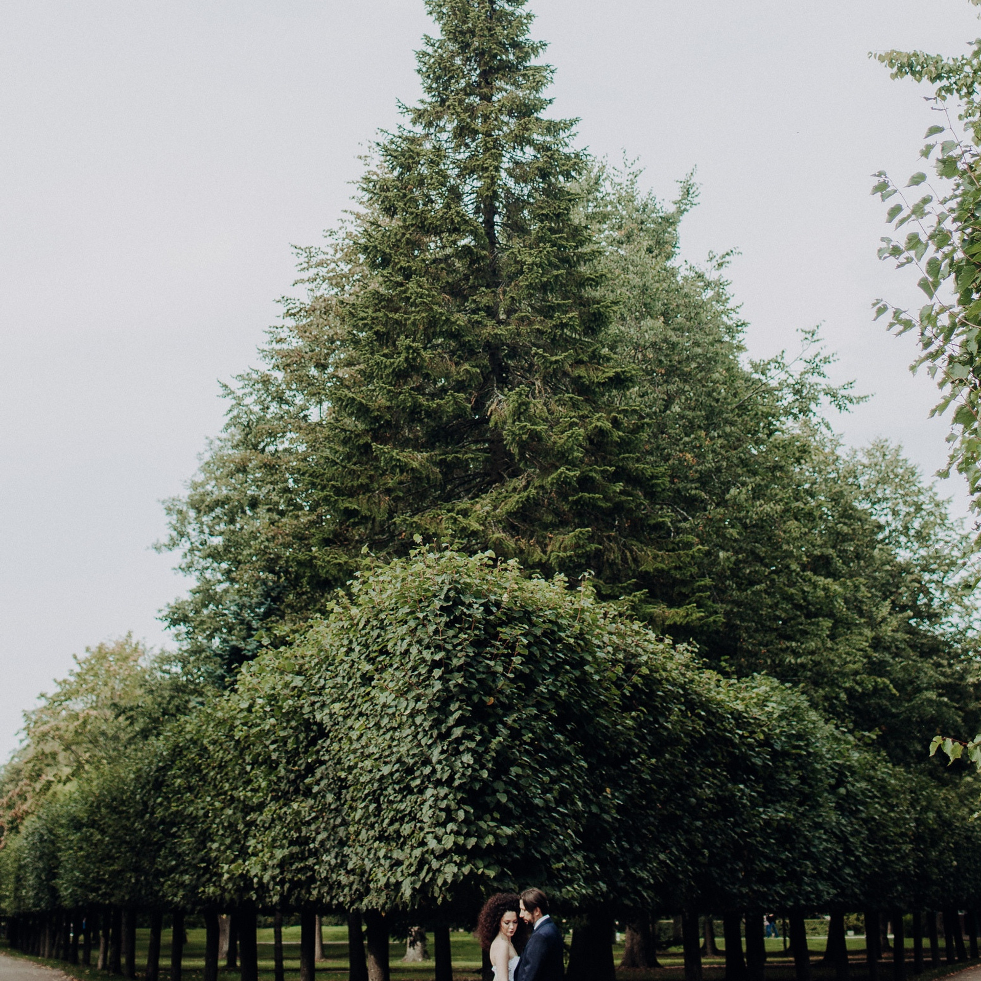 Свадебная съемка. Фотограф Анна Гребенник