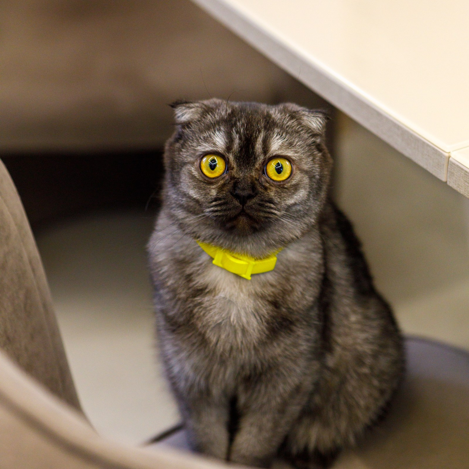 Отзывы. Семейный и репортажный фотограф в Орле