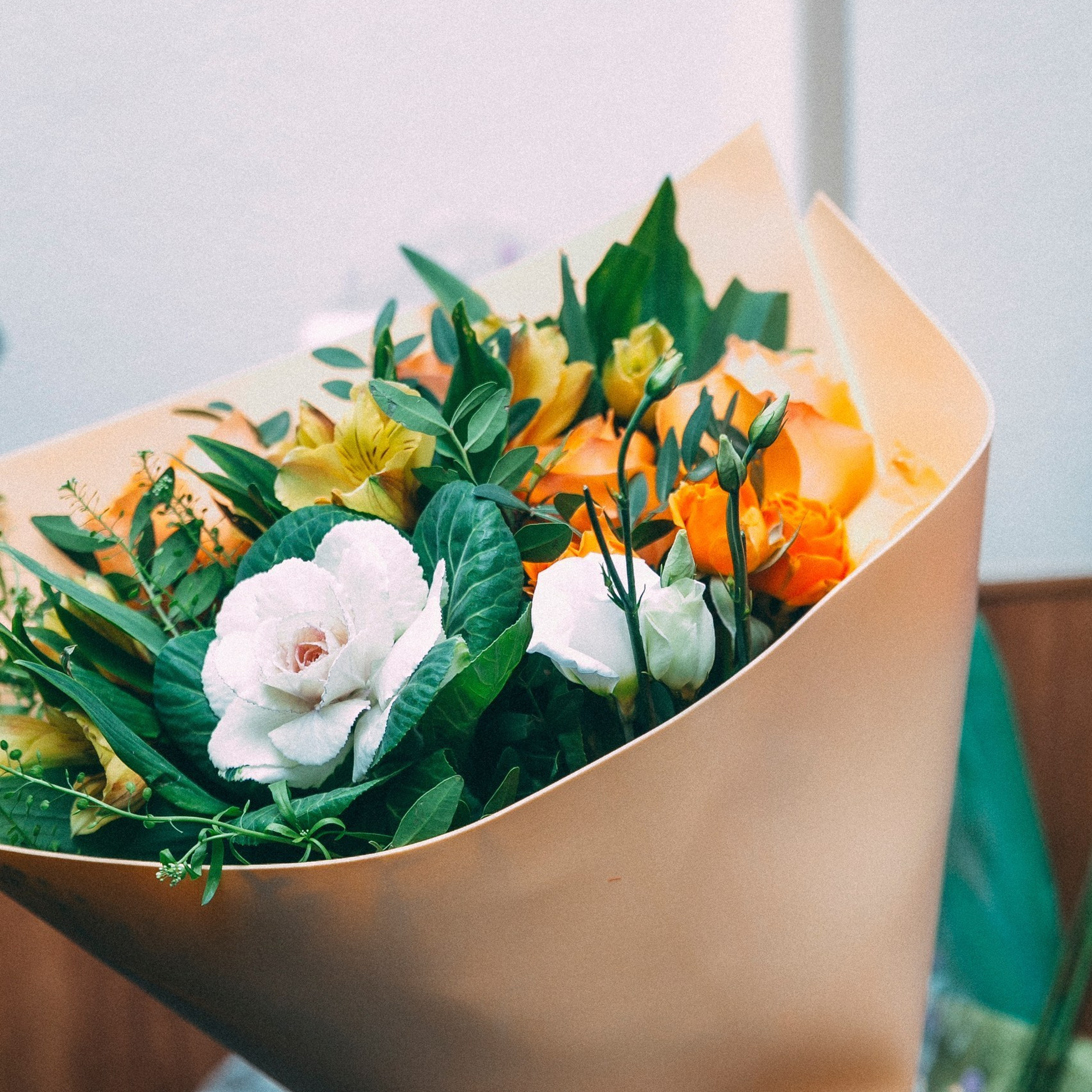 Отзывы. Семейный и репортажный фотограф в Череповце Оля Ланец