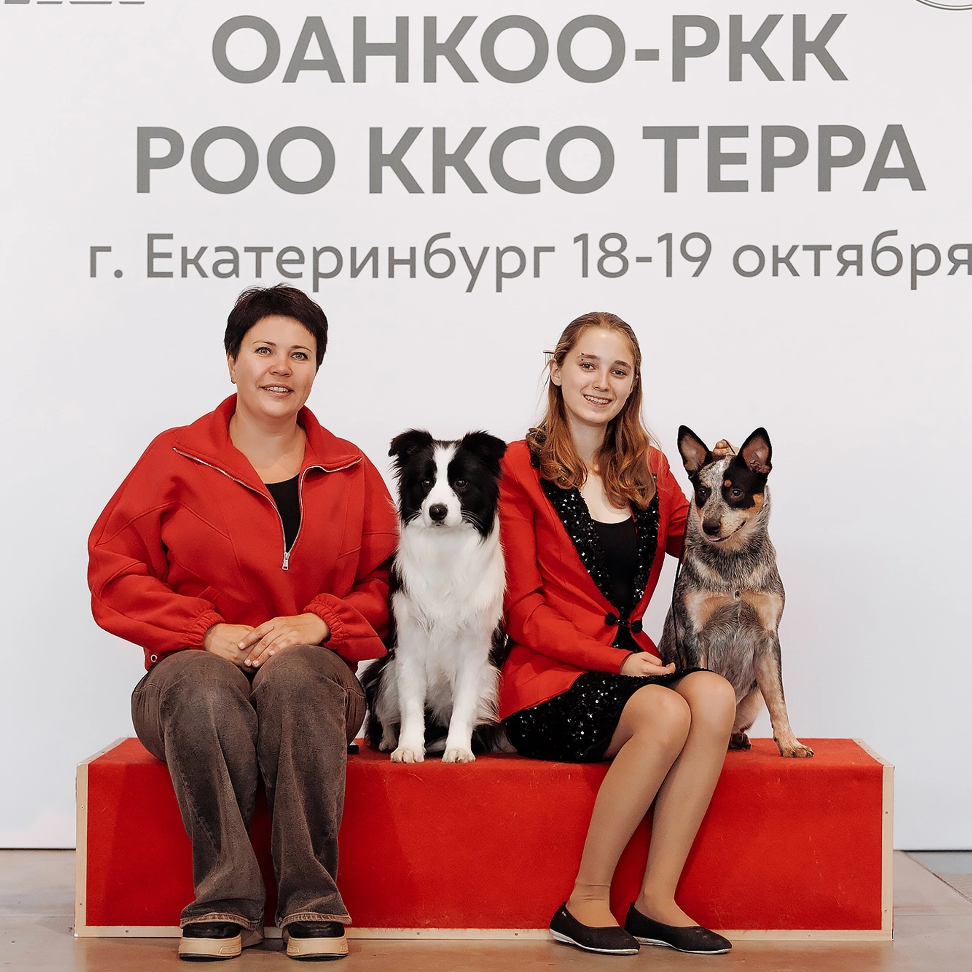 Ryzhaya Molniya Chita Drita — Джина. Заводчик Зинаида Мищенко