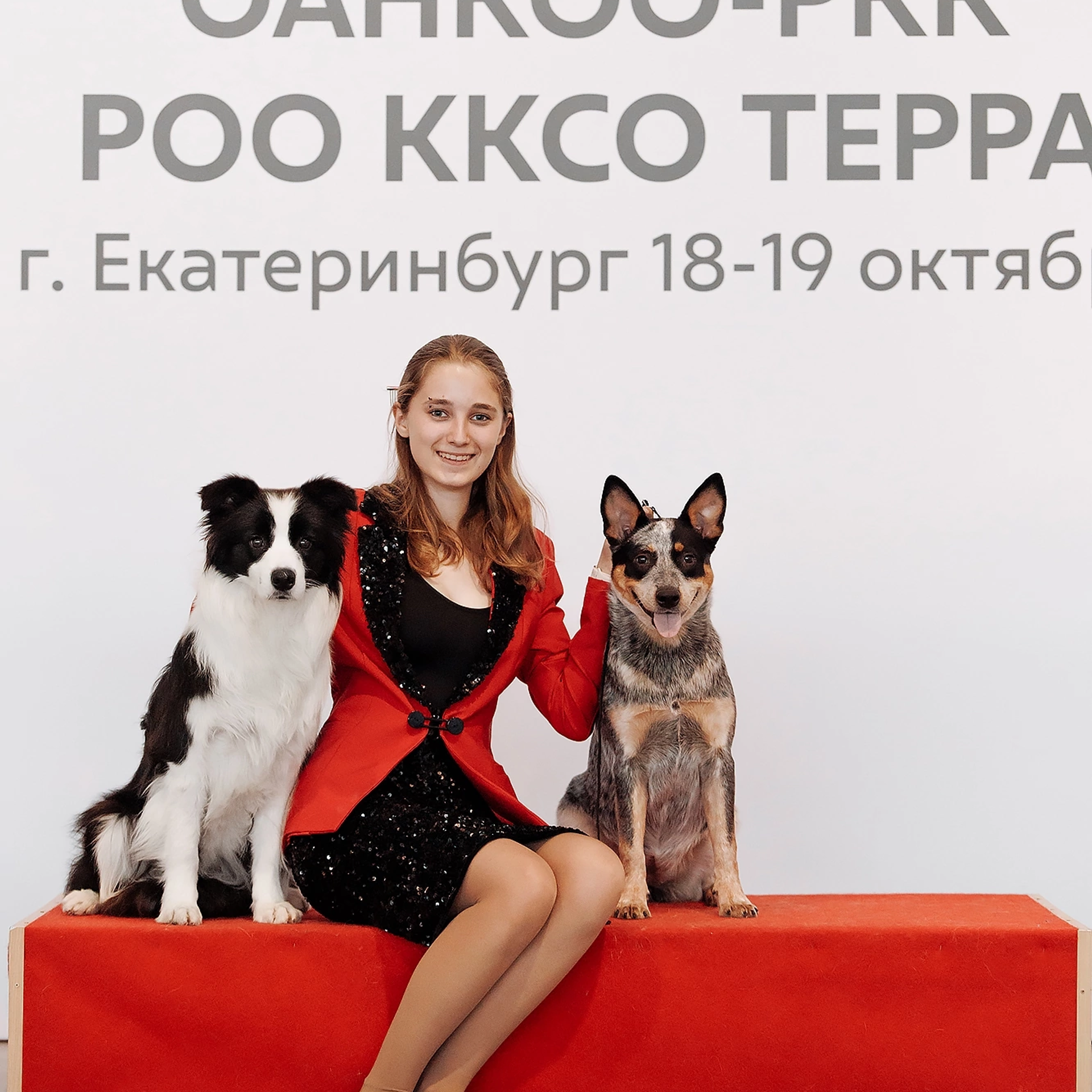 Ryzhaya Molniya Chita Drita — Джина. Заводчик Зинаида Мищенко