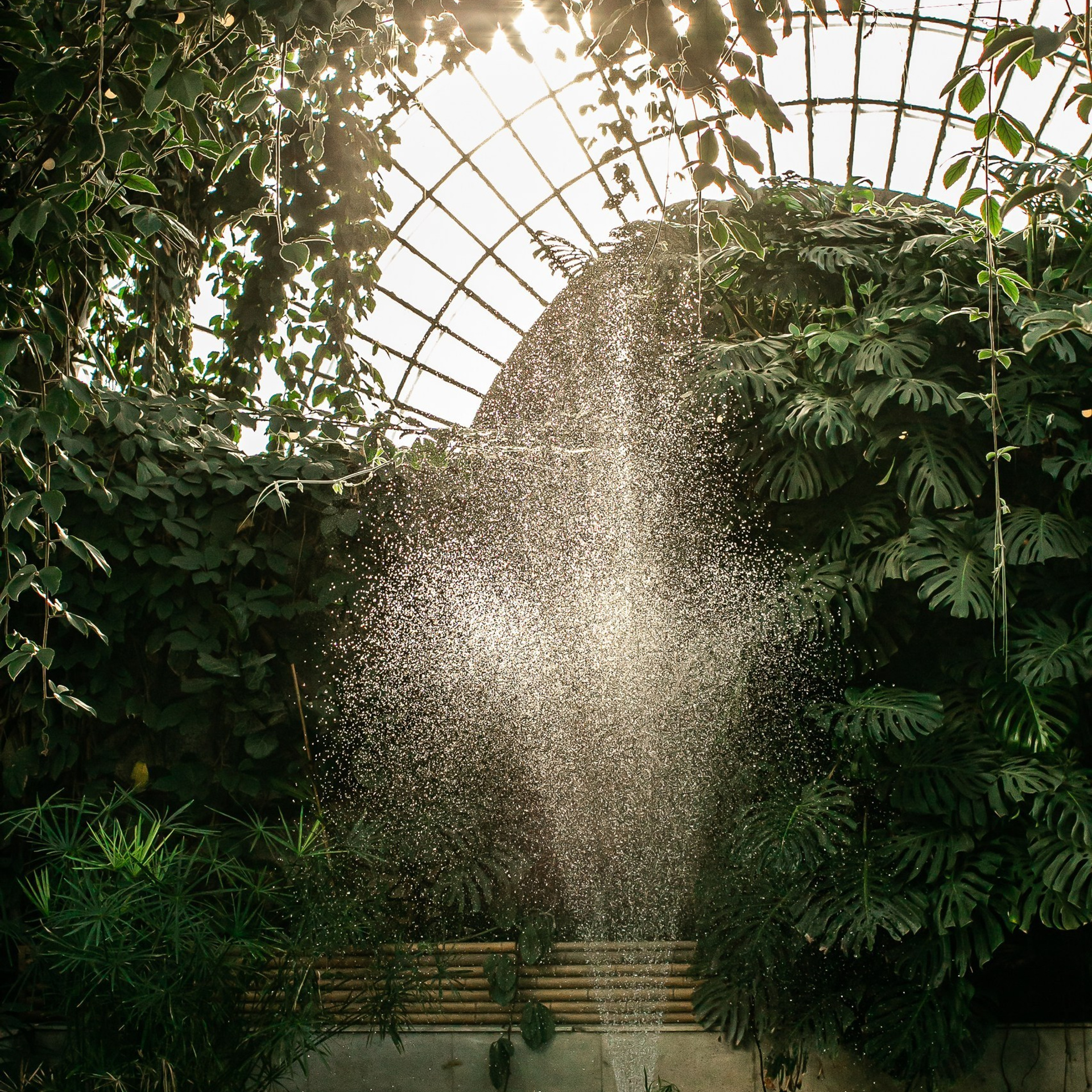 Отзывы. Семейный и портретный фотограф в Санкт-Петербурге Ольга Станкова