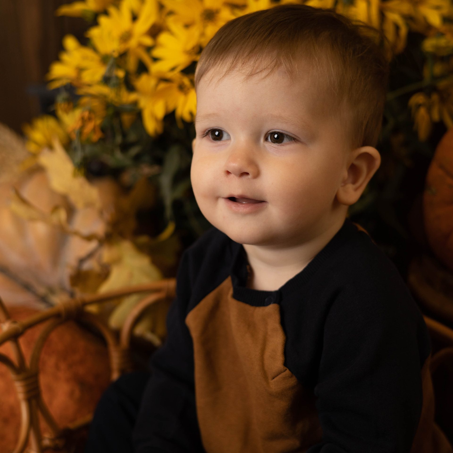 Отзывы. Семейный фотограф Краснодар. Екатерина Акчурина