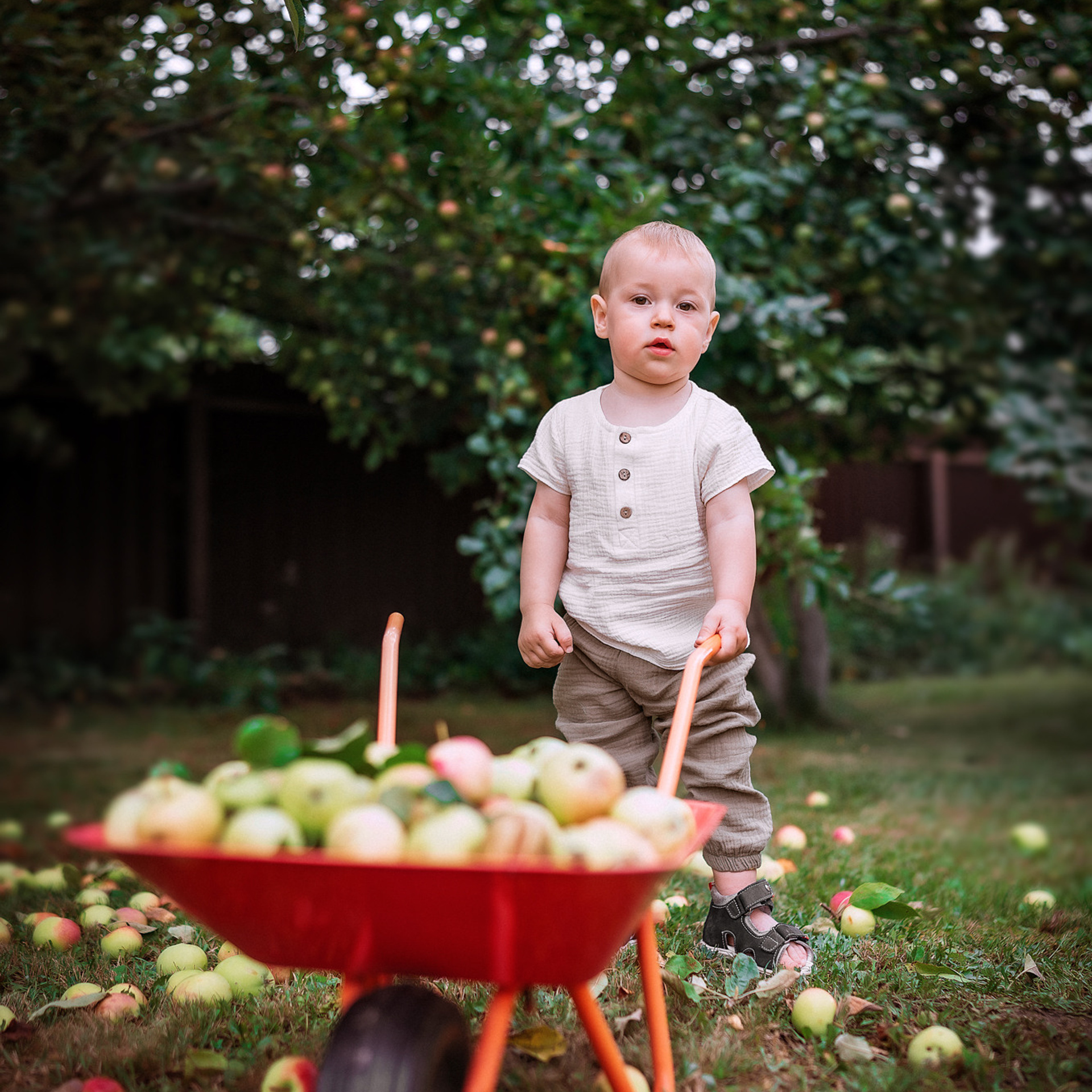 История для Ярика