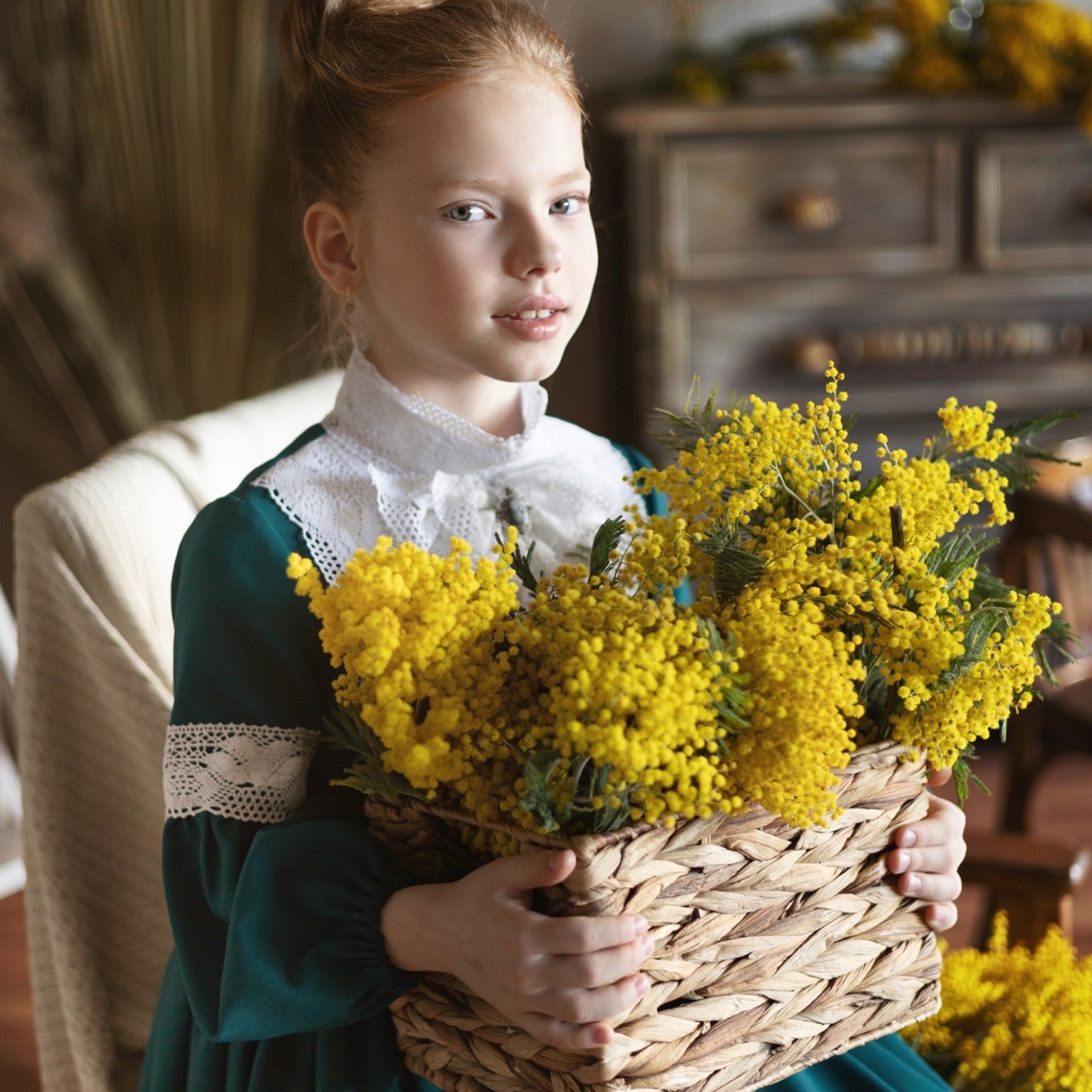 Лиза. Мимоза