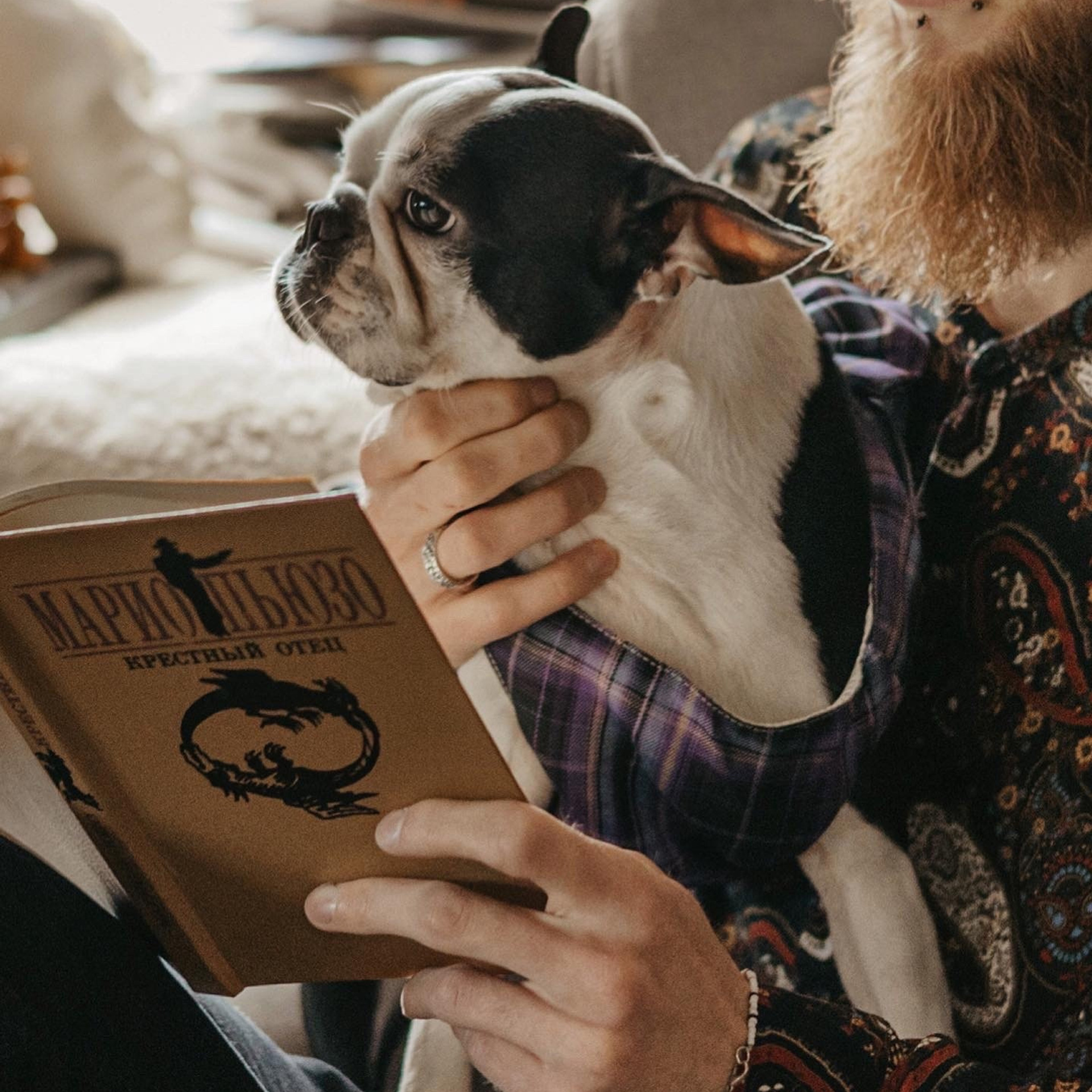 Фото с собачкой