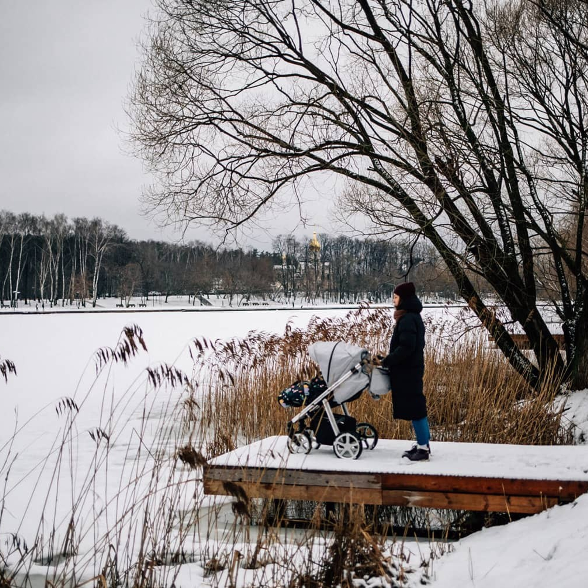 Зимняя прогулка