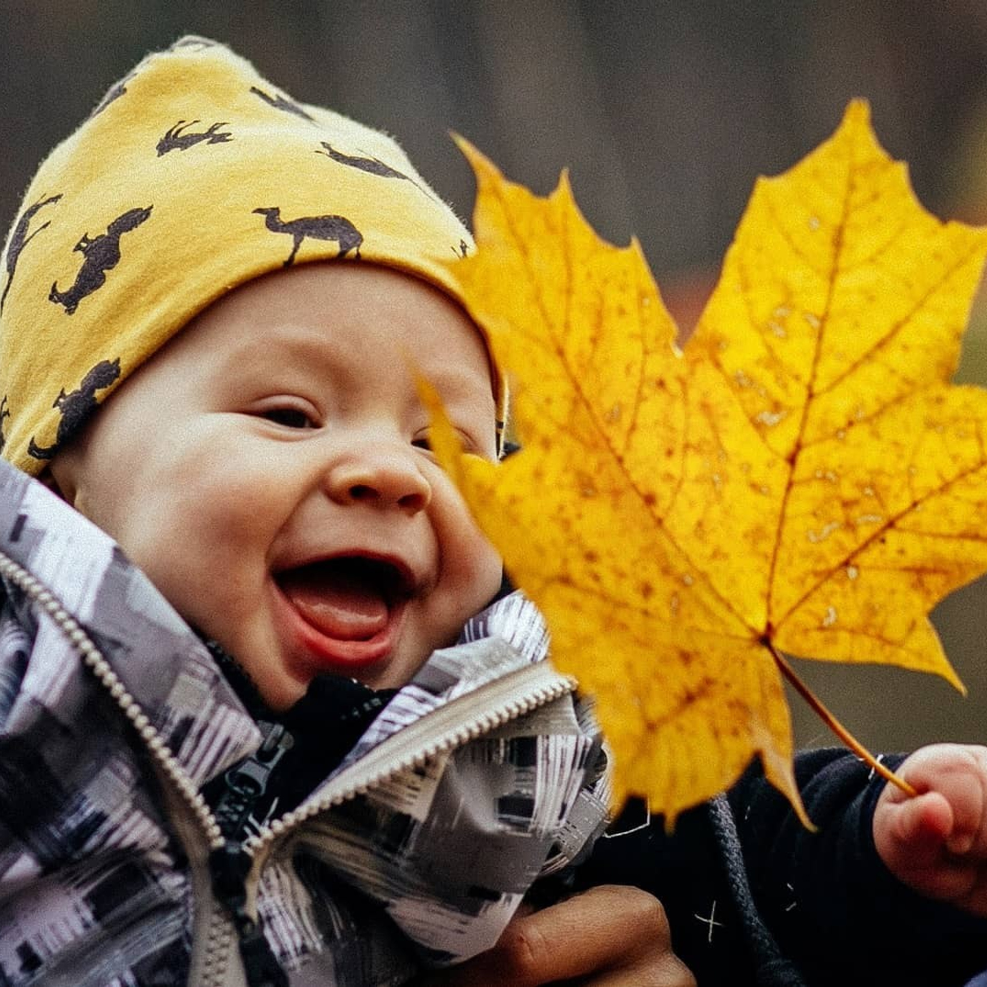 Осенняя прогулка