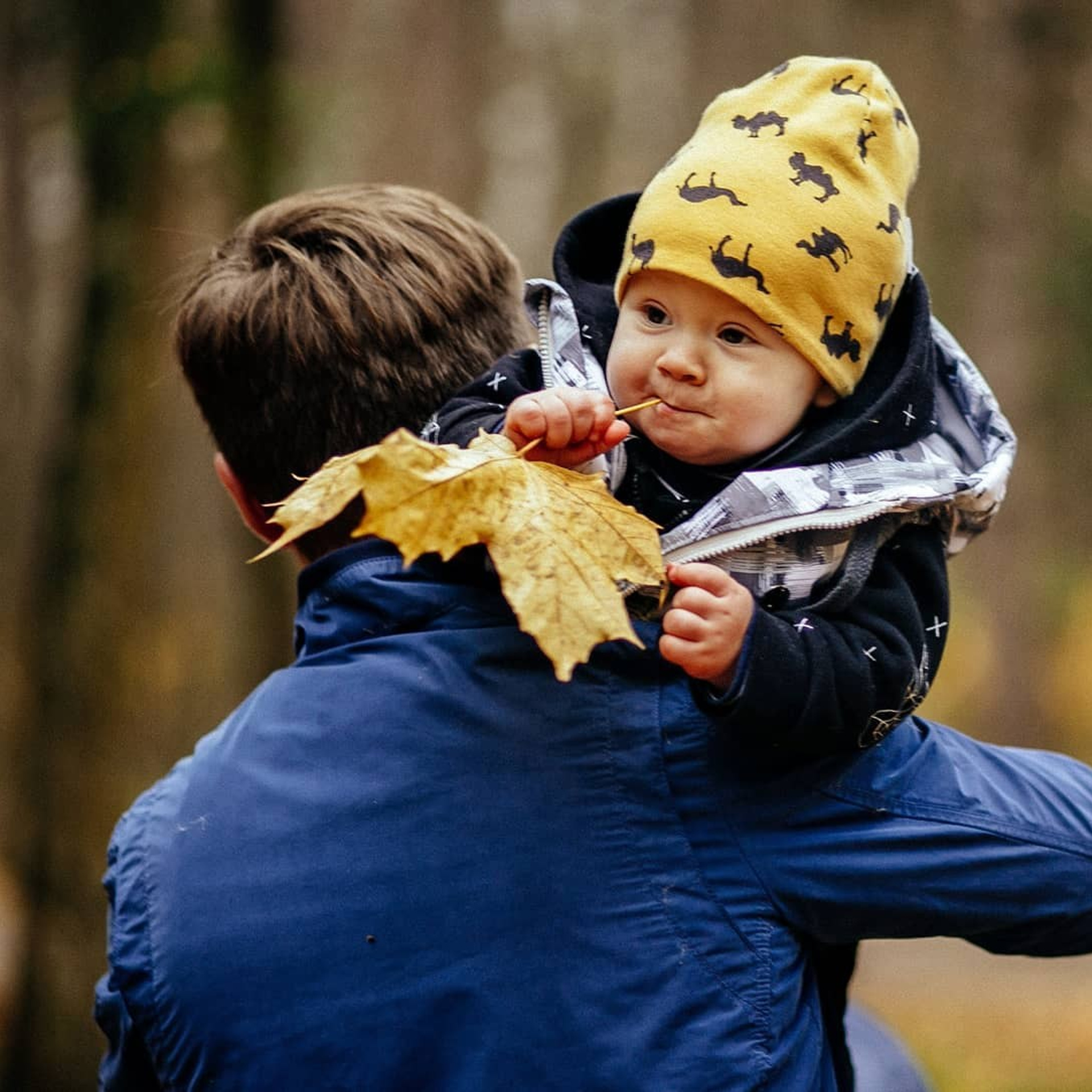 Осенняя прогулка