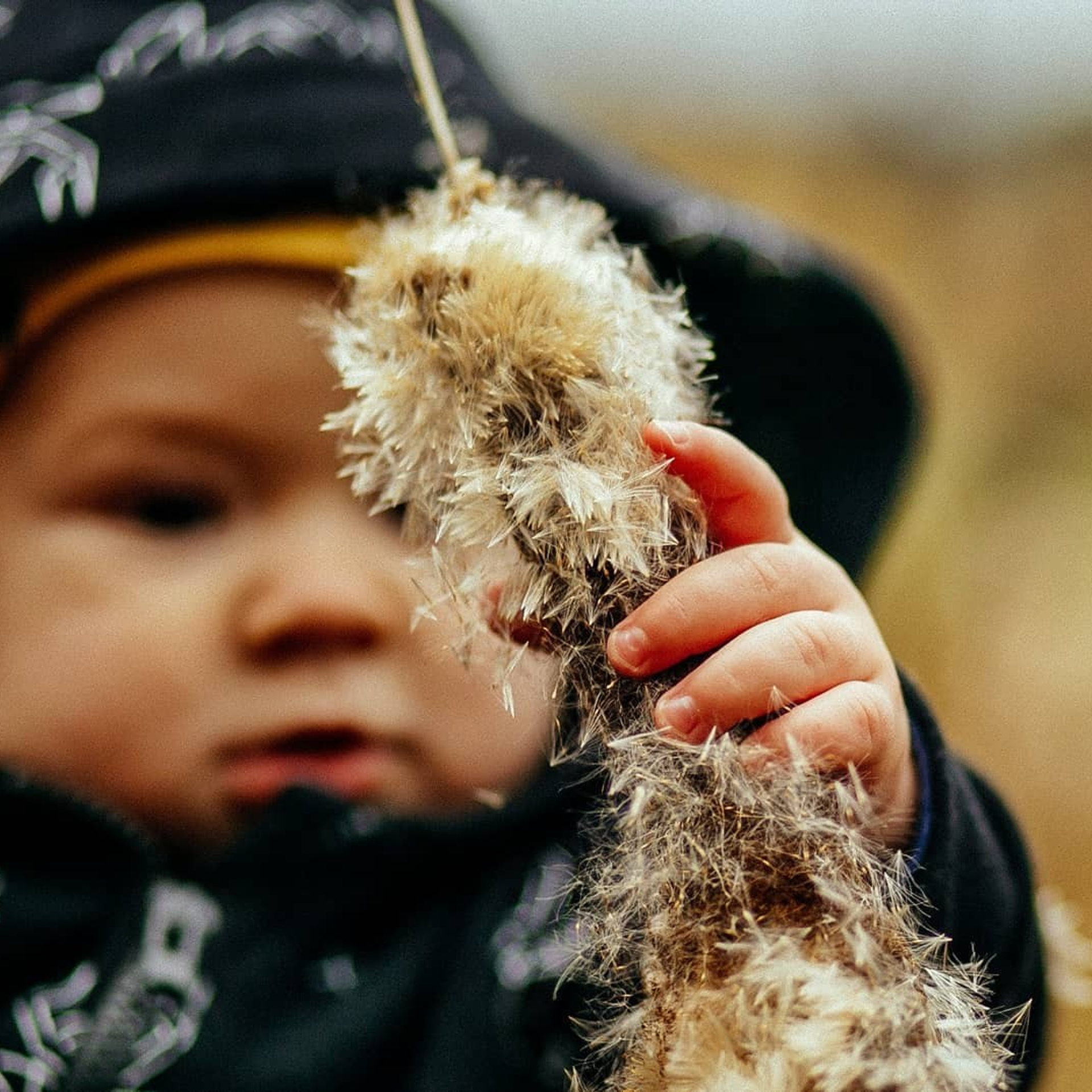 Осенняя прогулка