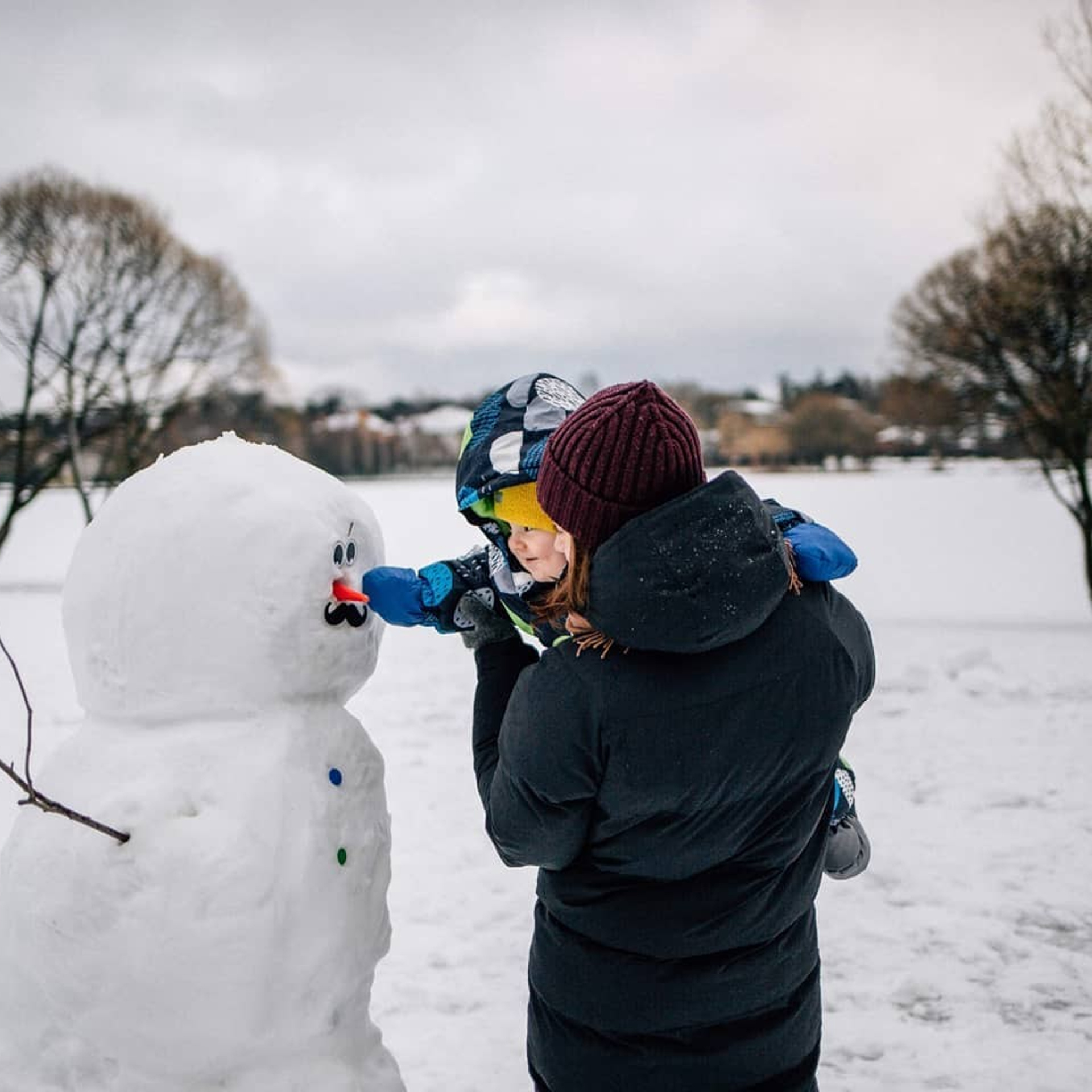 Зимняя прогулка