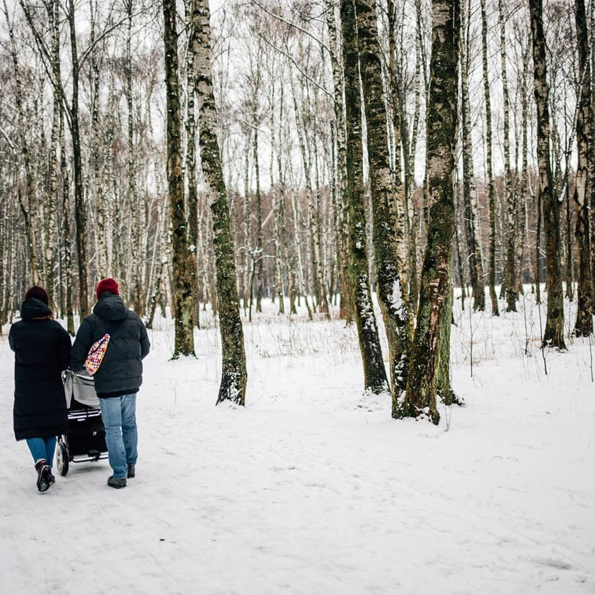 Зимняя прогулка