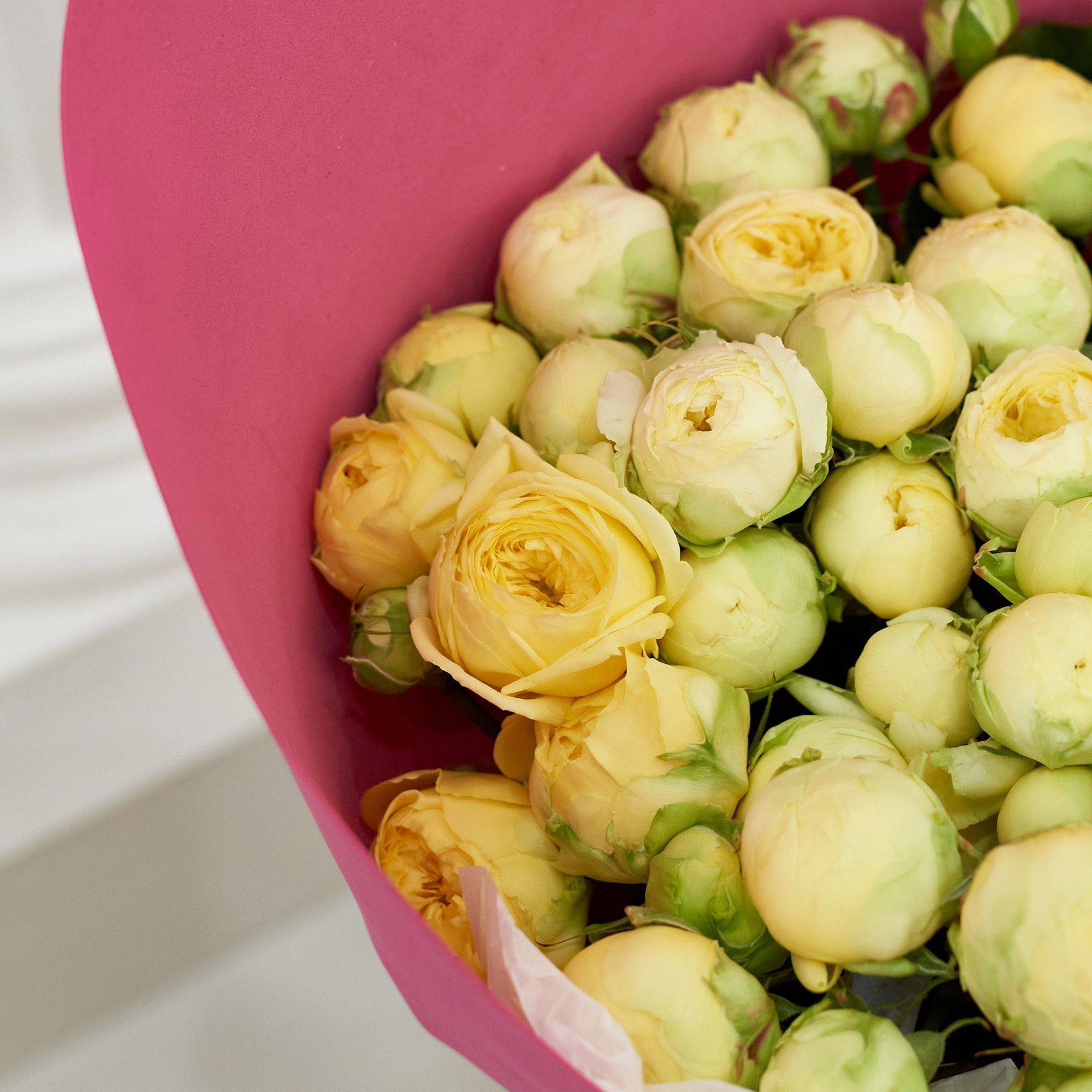 Отзывы. Фотограф Новочеркасск Ростов Карина Чернова