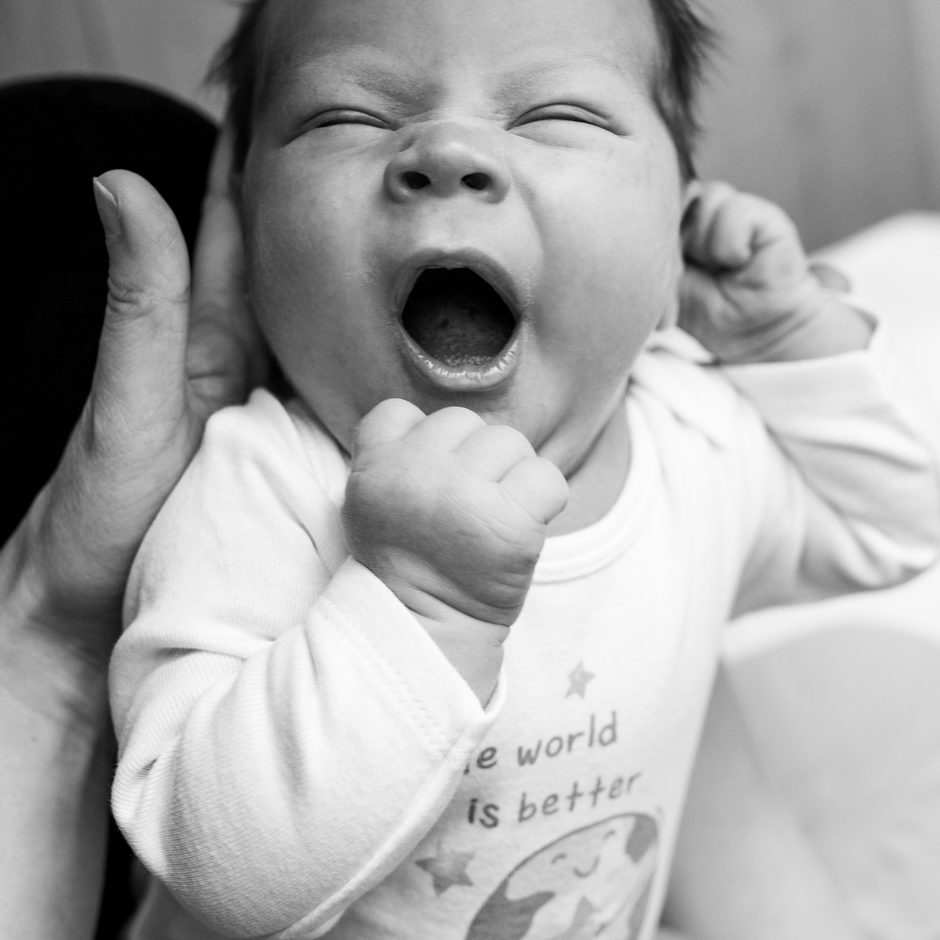 Необычное путешествие