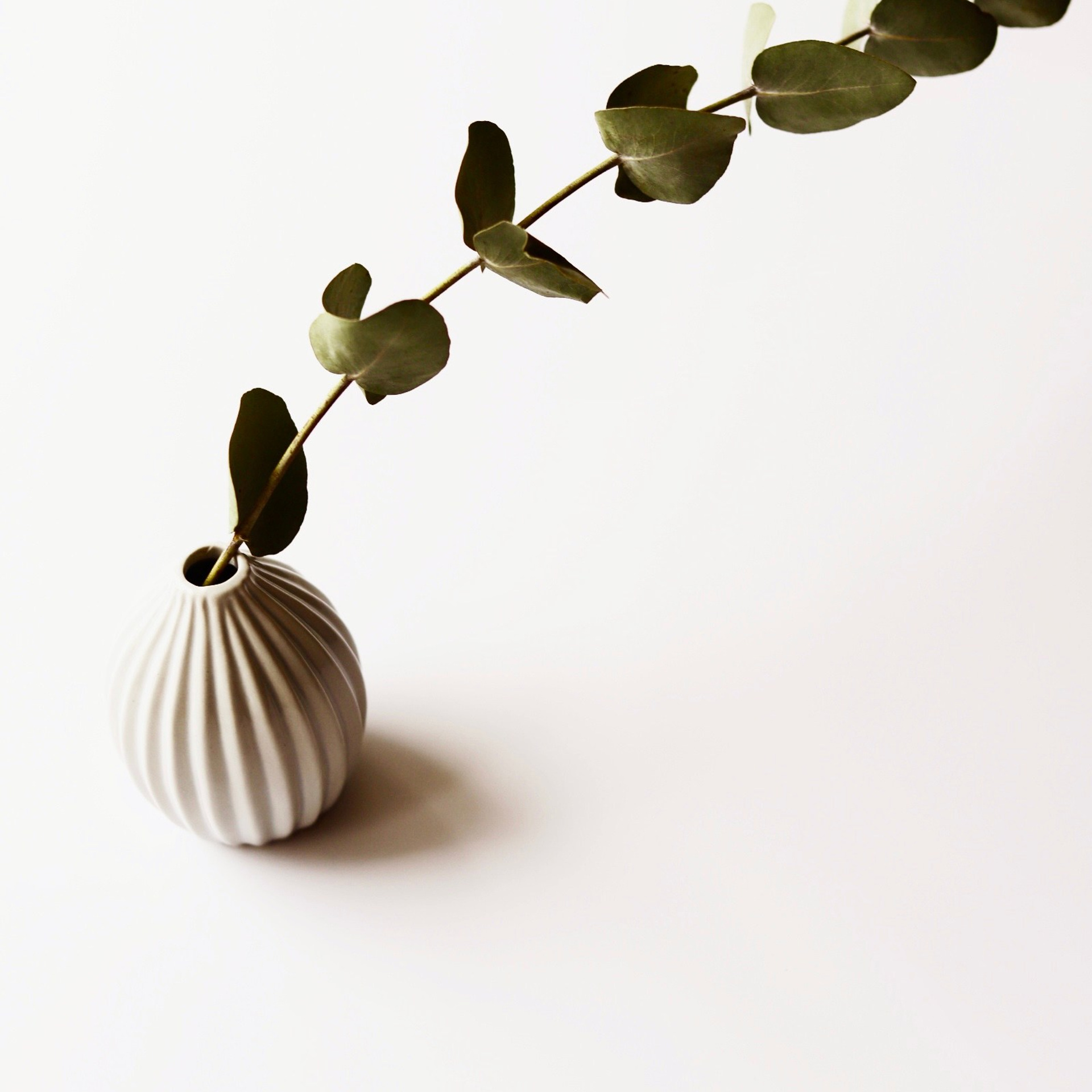 предметная