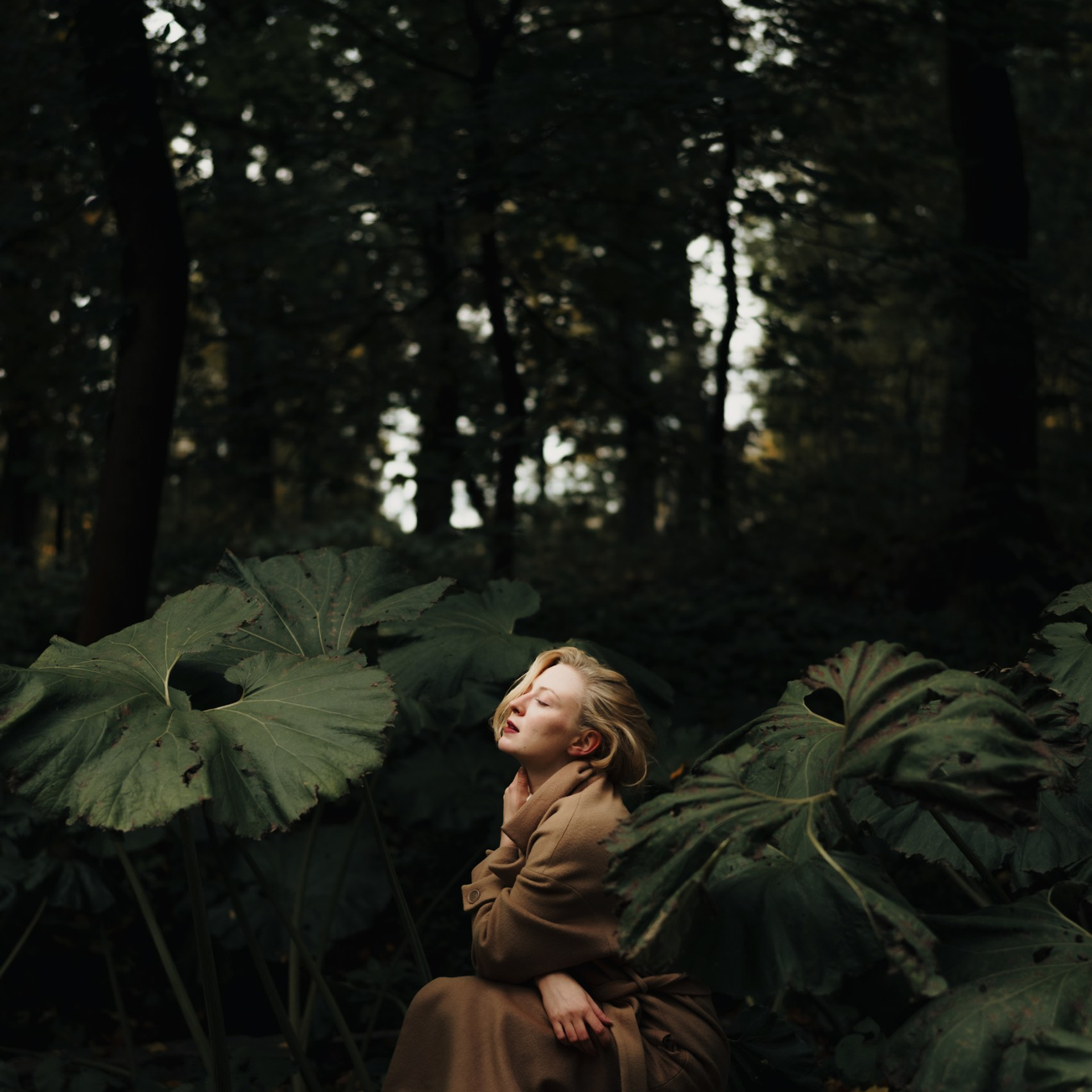 Портфолио женского фотографа в Москве и Санкт-Петербурге — Екатерина Королева. Женский фотограф в Москве и Санкт-Петербурге — Екатерина Королева | Женские портреты, парные съёмки, видео