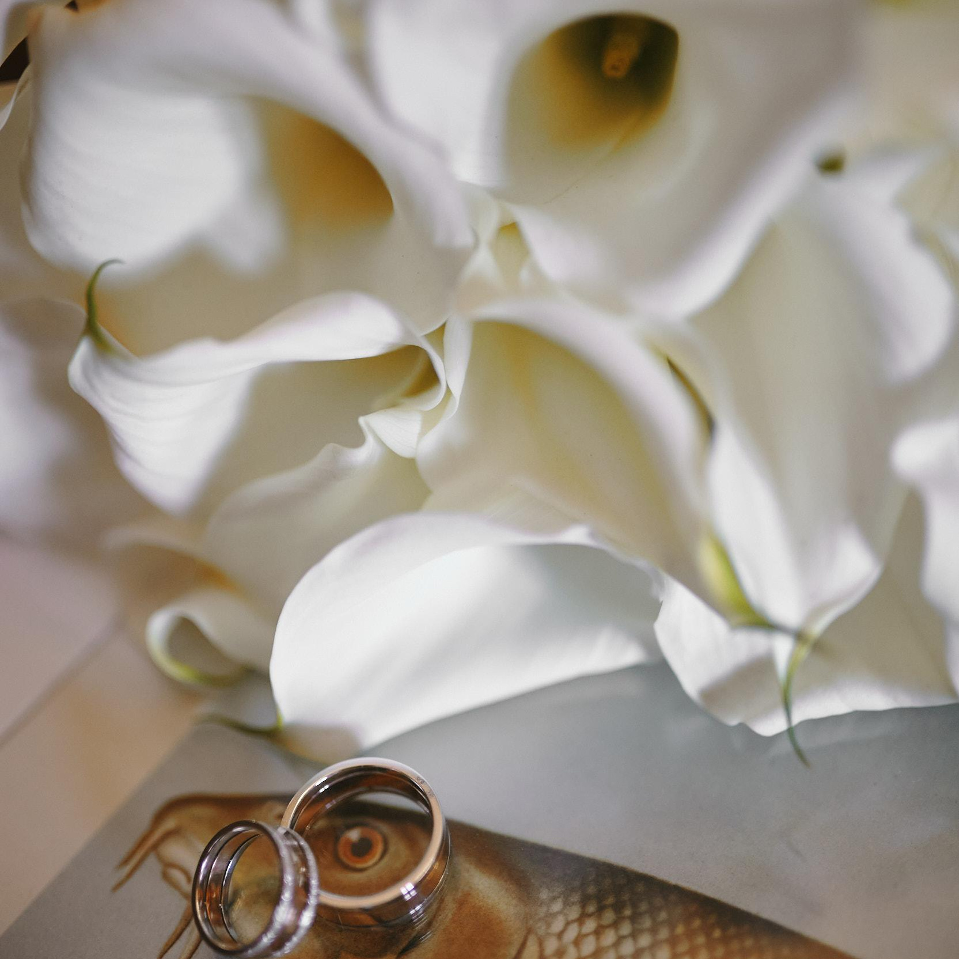 Пушкинское