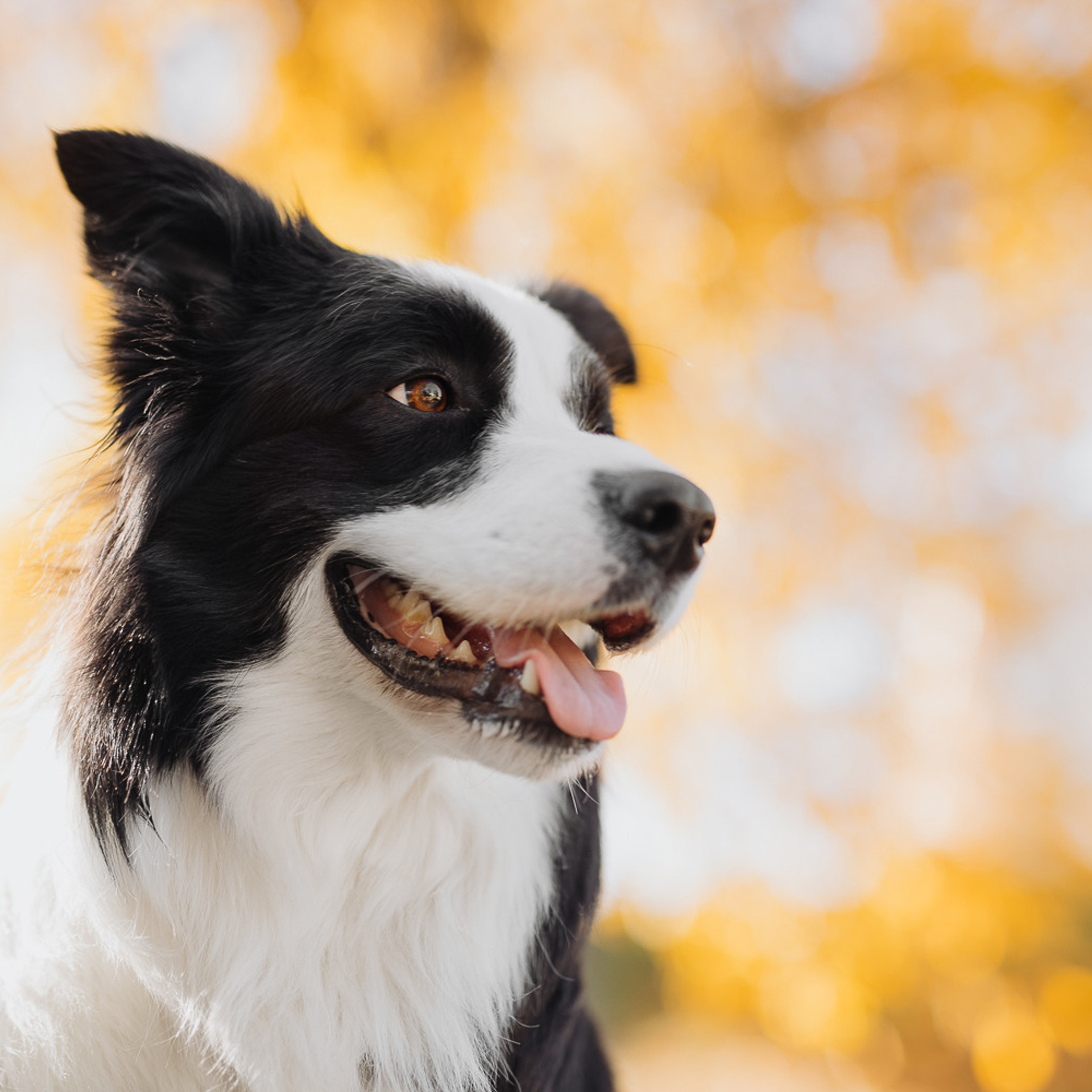 Отзывы. Фотограф Ксения Ресси