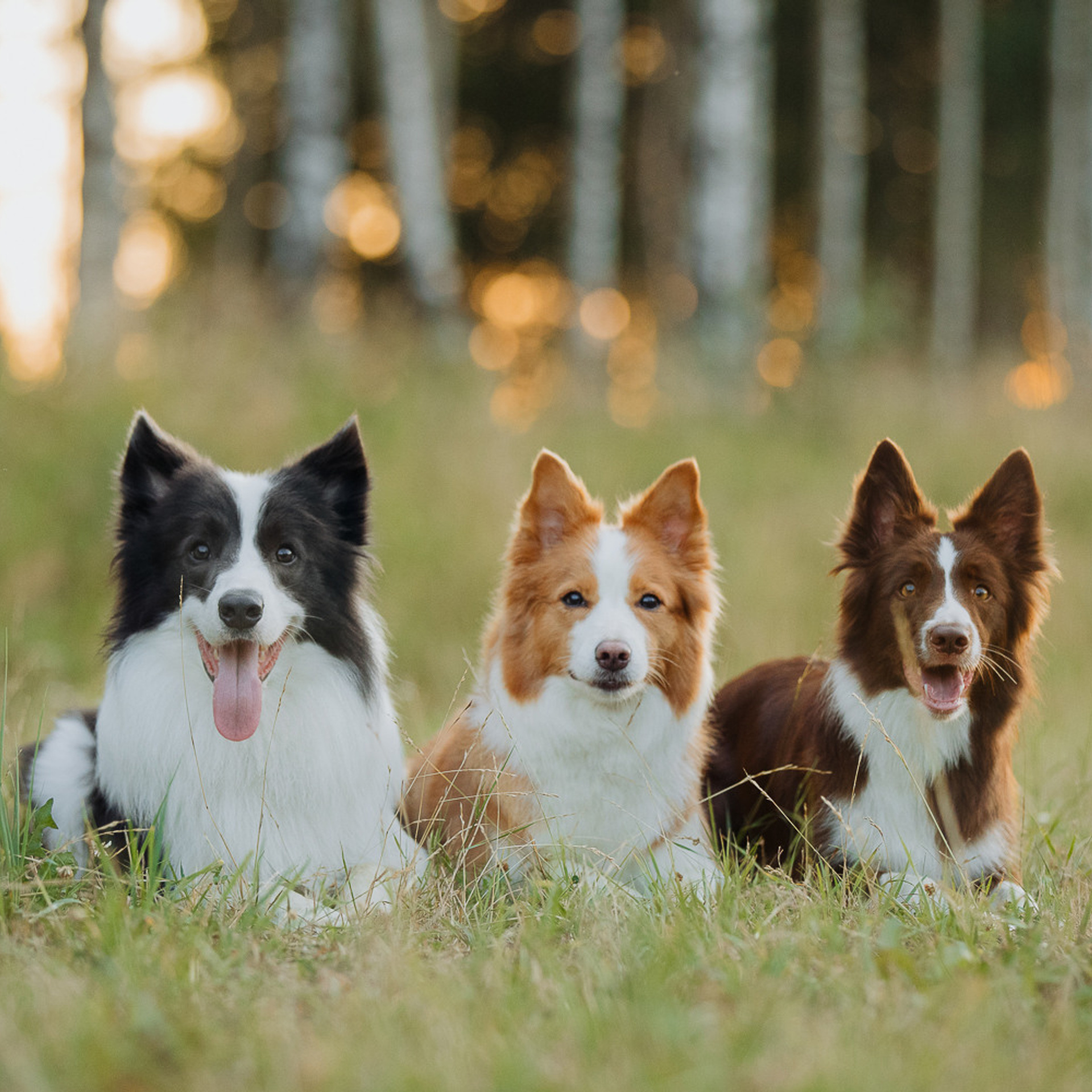 Отзывы. Фотограф Ксения Ресси