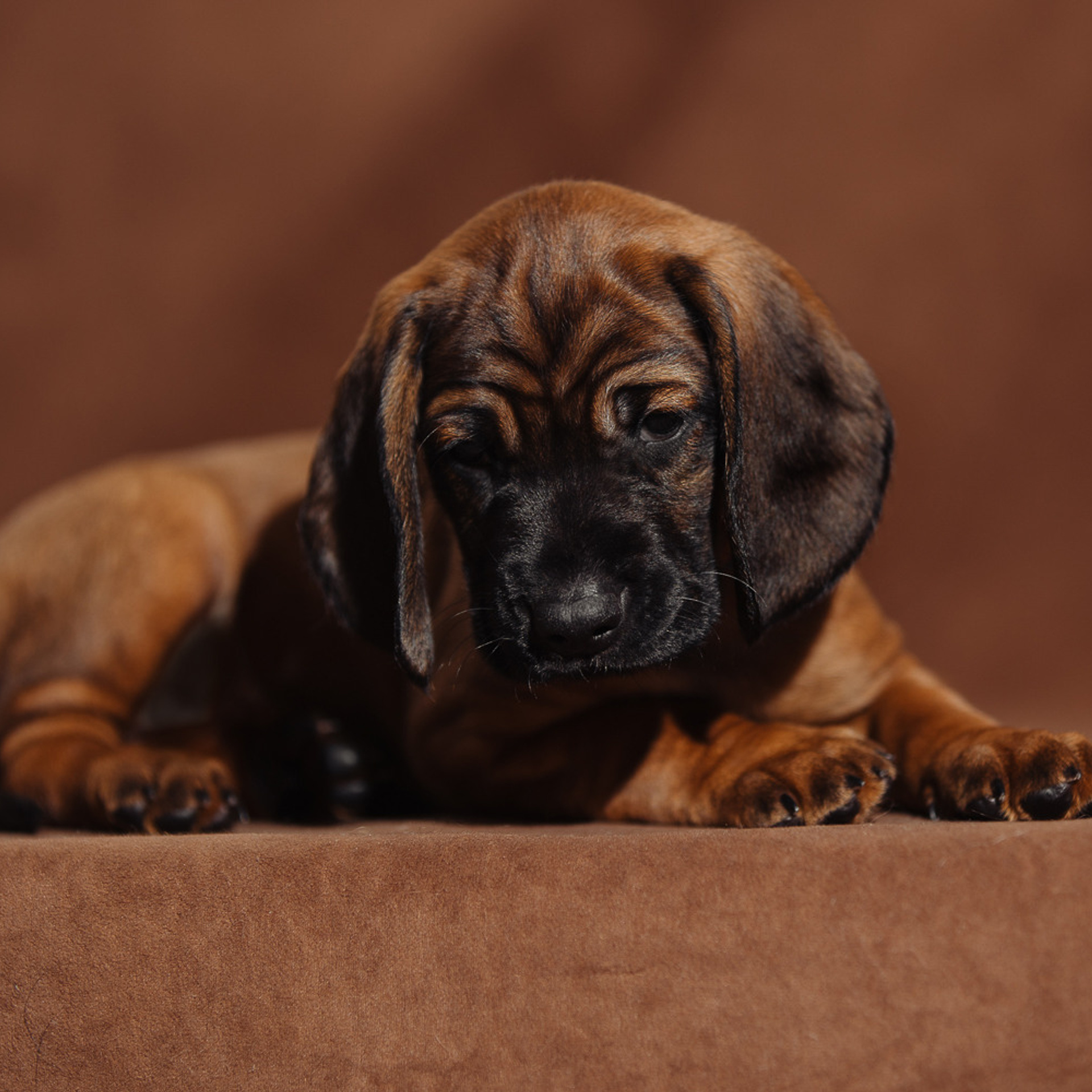 Отзывы. Фотограф Ксения Ресси