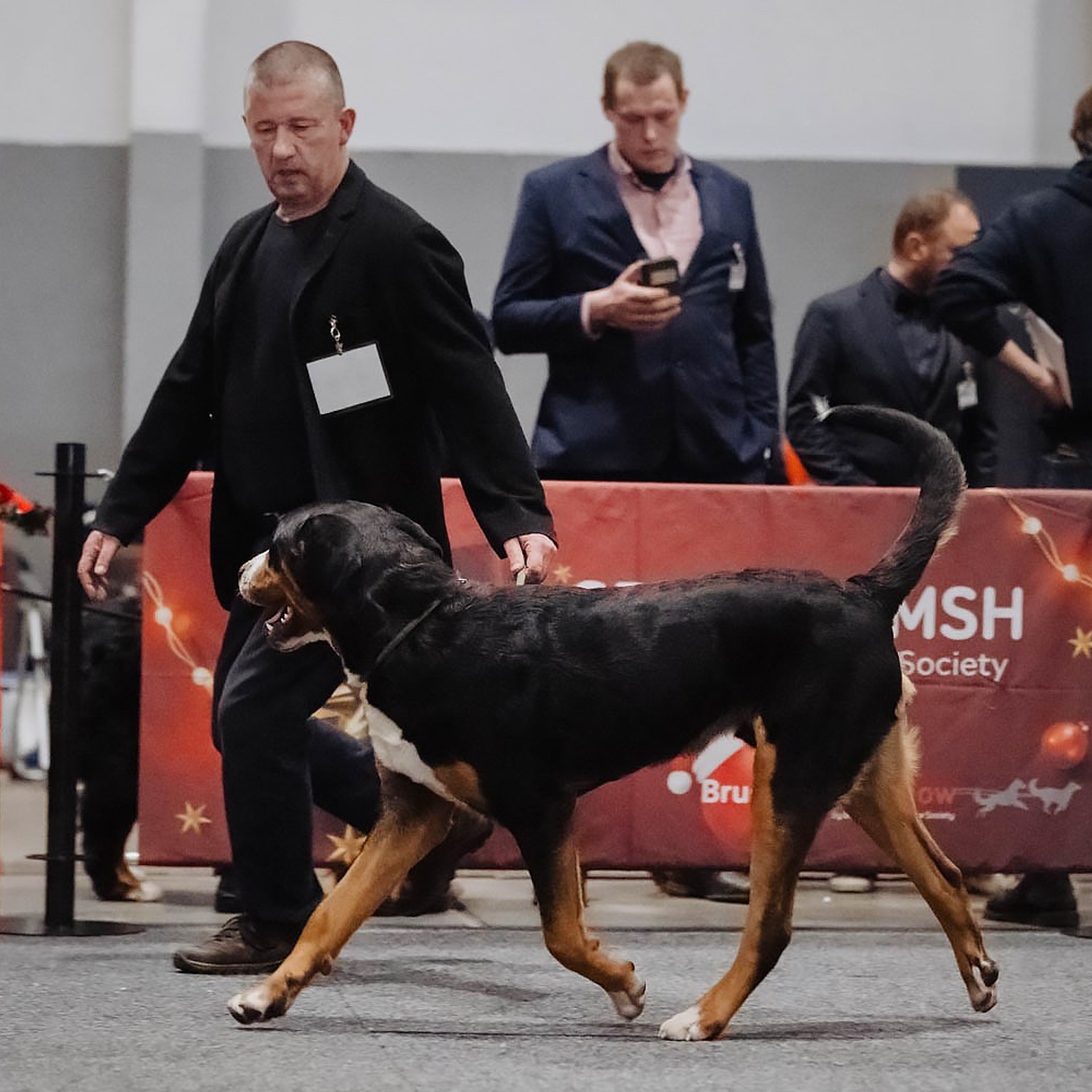 Отзывы. Фотограф Ксения Ресси