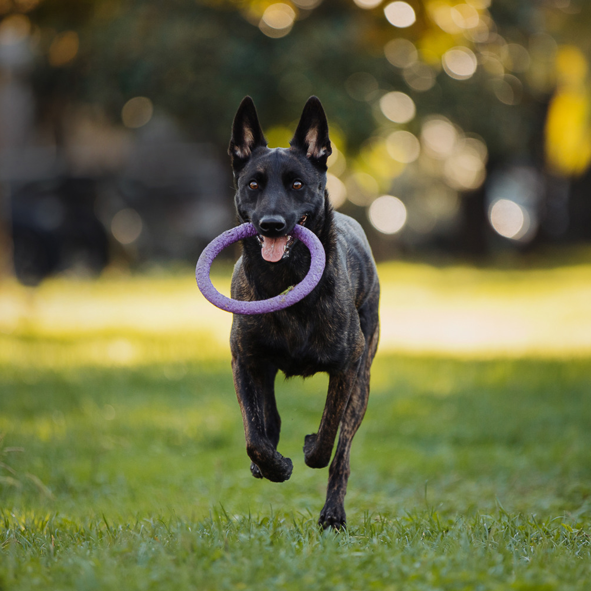 Отзывы. Фотограф Ксения Ресси