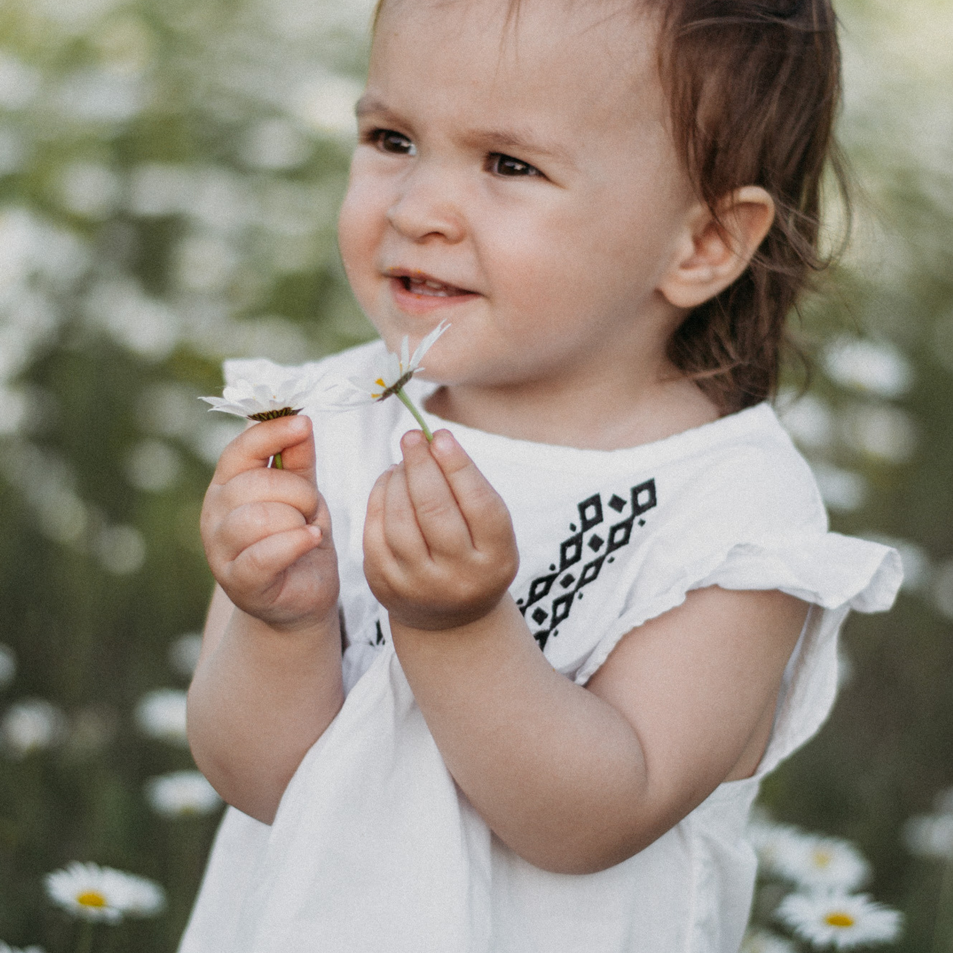 Фотодень в ромашках. Диана. Фотограф в Сочи — Маргарита Поганова