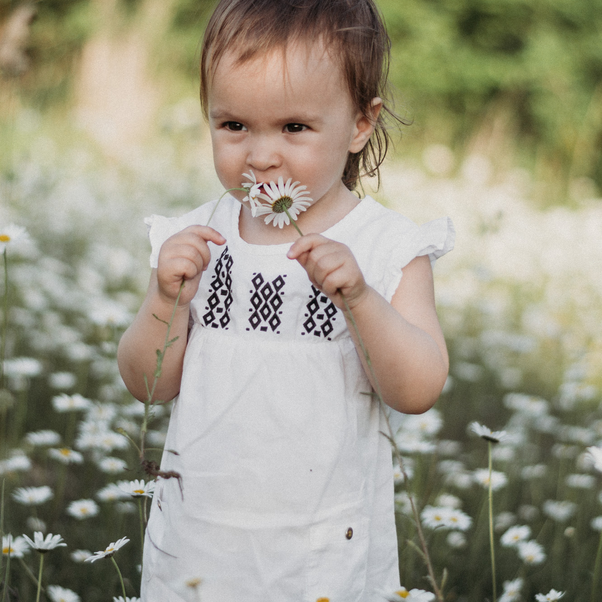 Фотодень в ромашках. Диана. Фотограф в Сочи — Маргарита Поганова