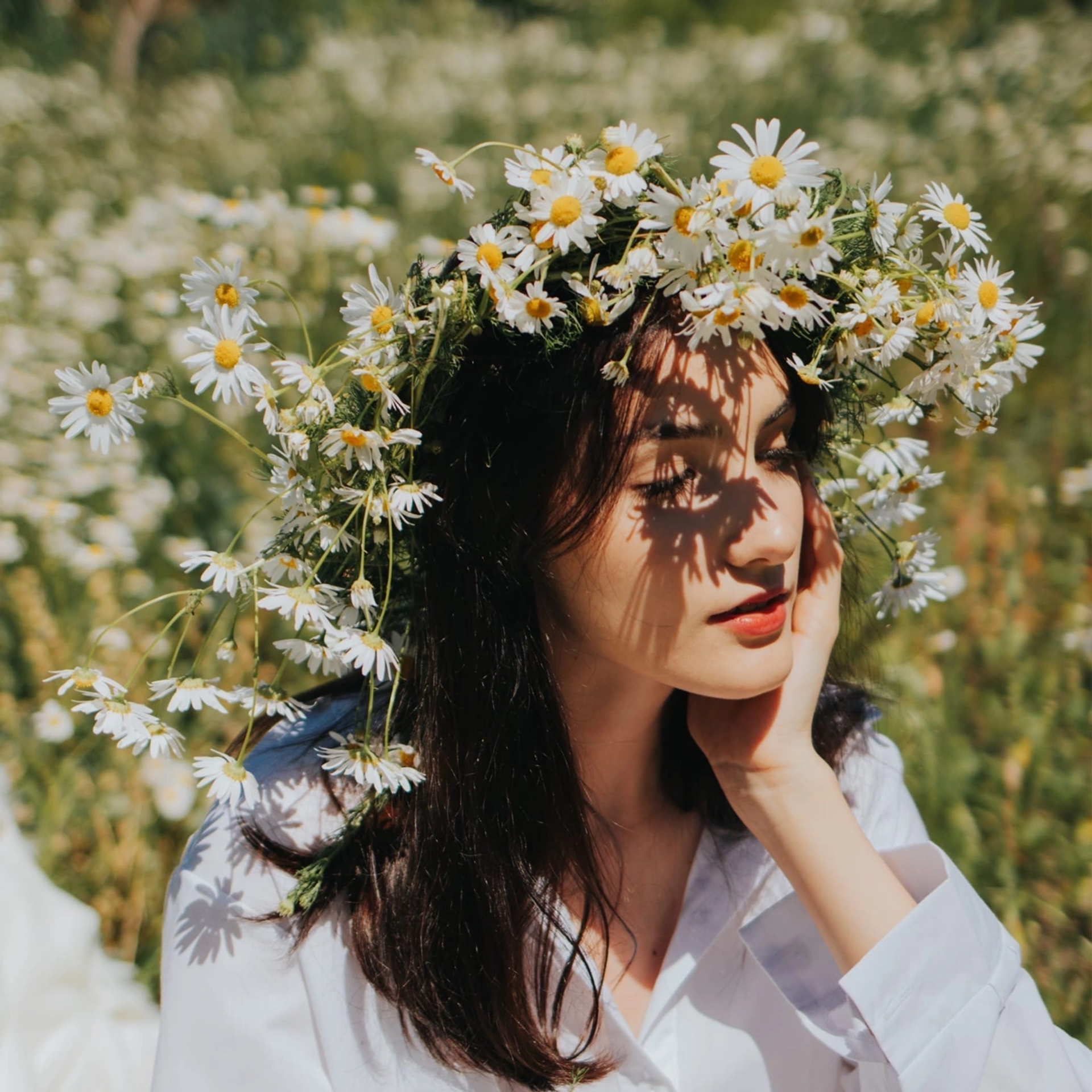 В ромашках