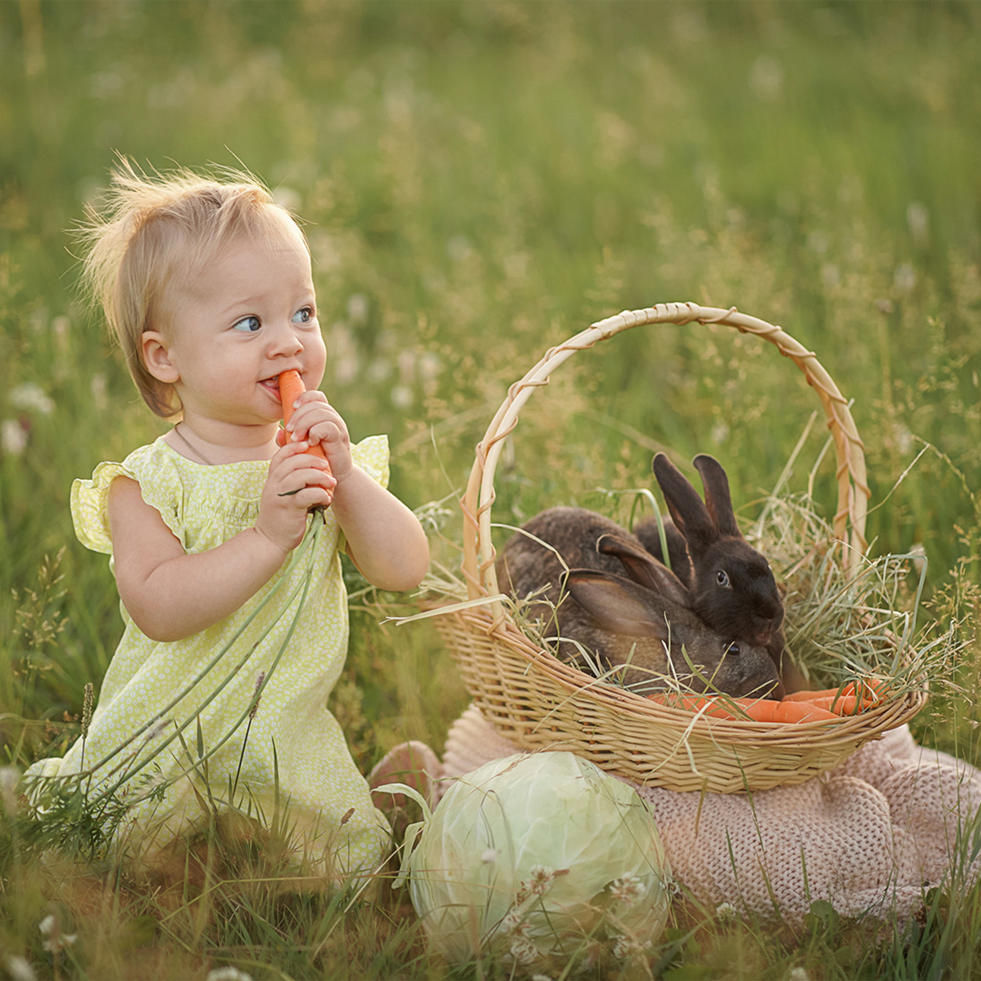 Выбор локации. Фотограф Татьяна Митрофанова