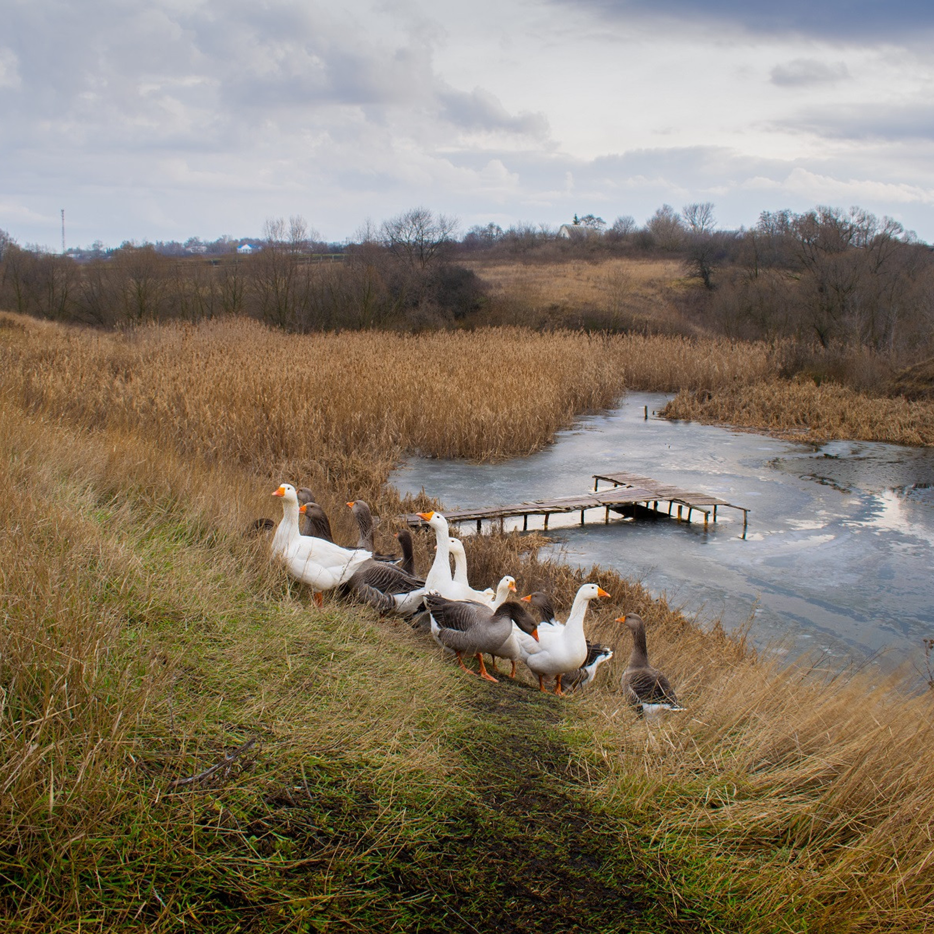 Белгородская область