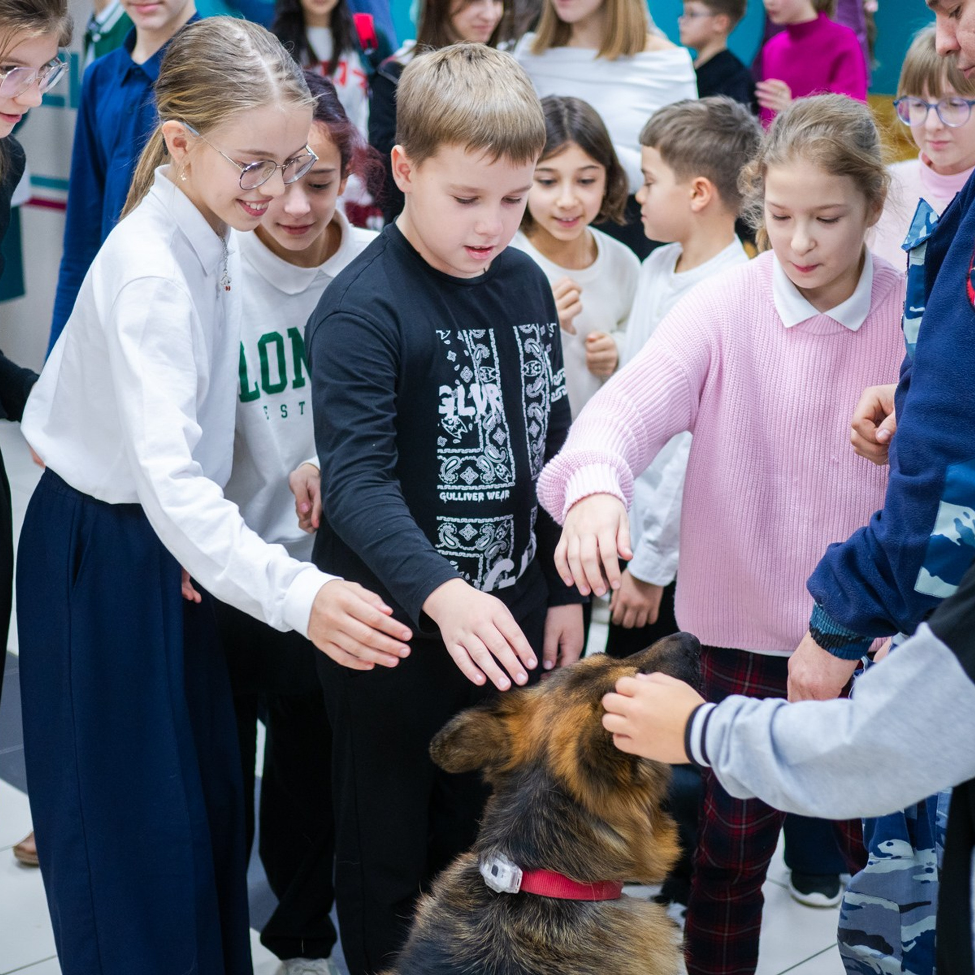 Полиция и кинологи в гостях у Прайм Тайм