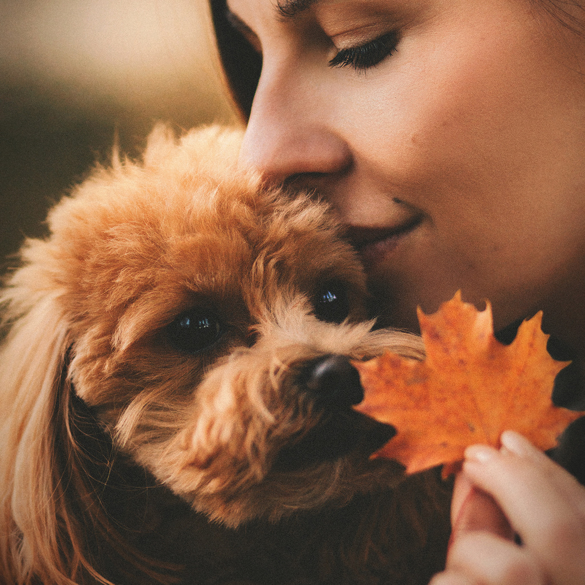 Томми и Алина