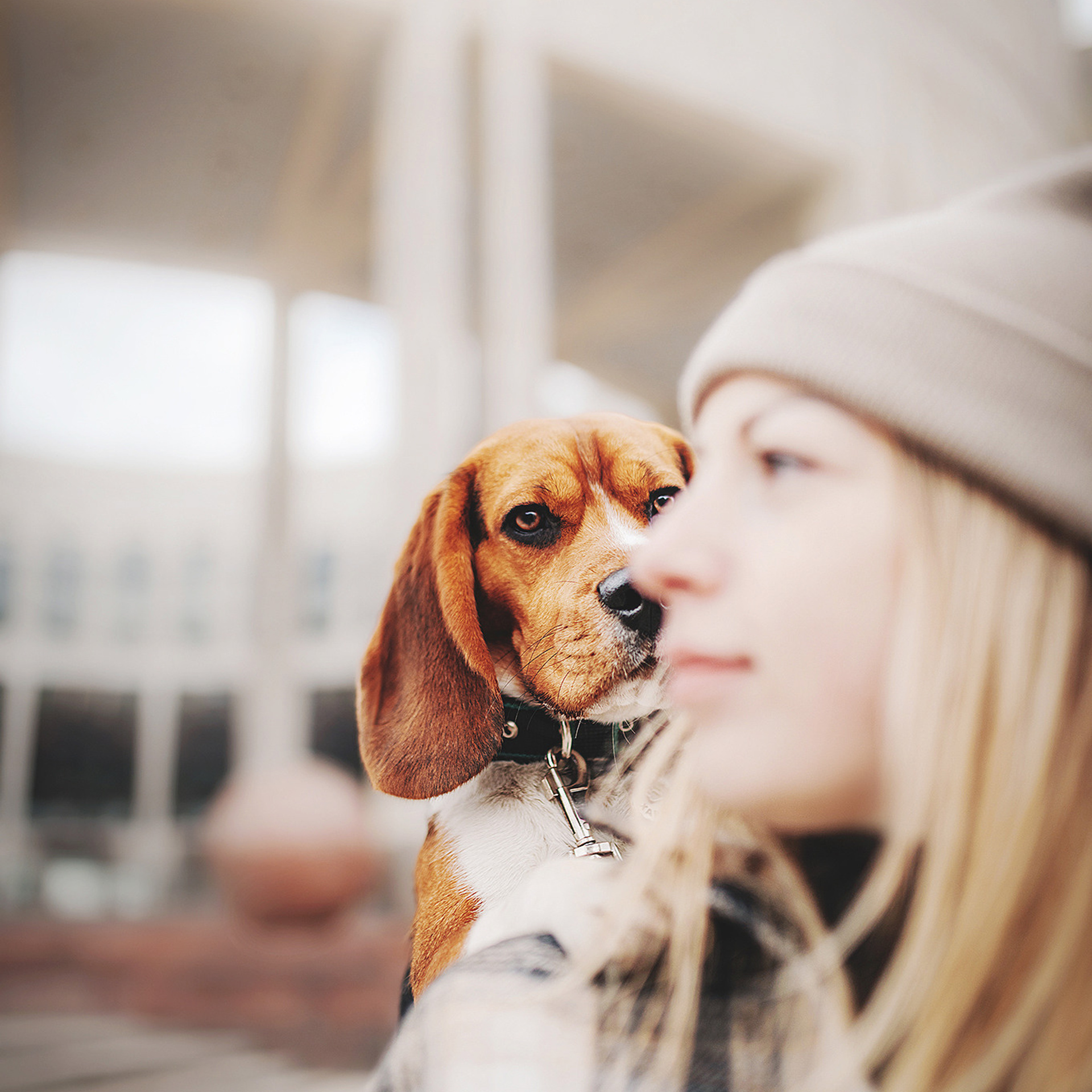 Даша и Харли