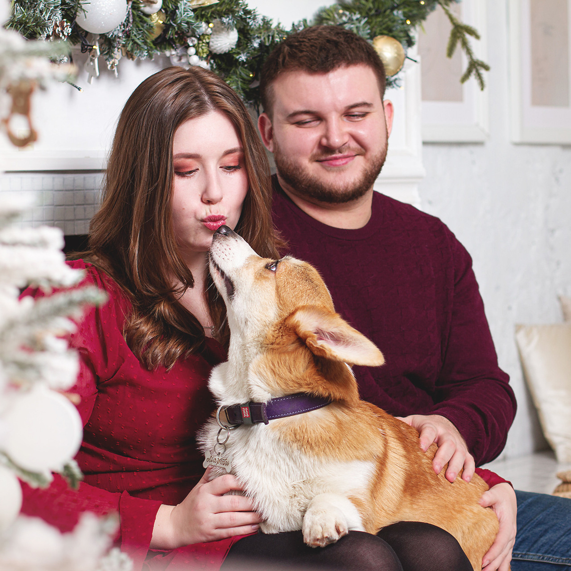 Отзывы. Фотограф-анималист • love-story • Санкт-Петербург