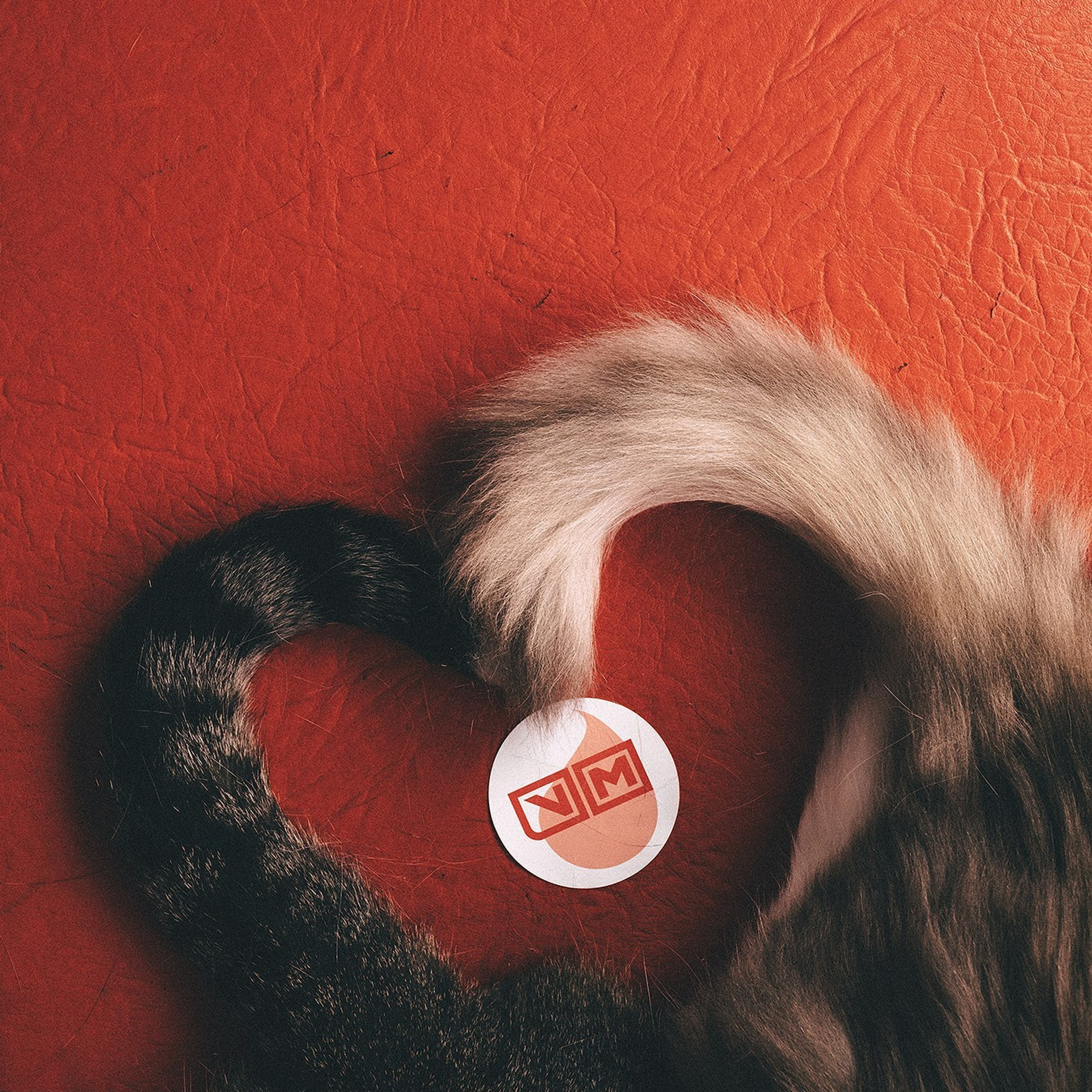 Отзывы. Фотограф-анималист • love-story • Санкт-Петербург