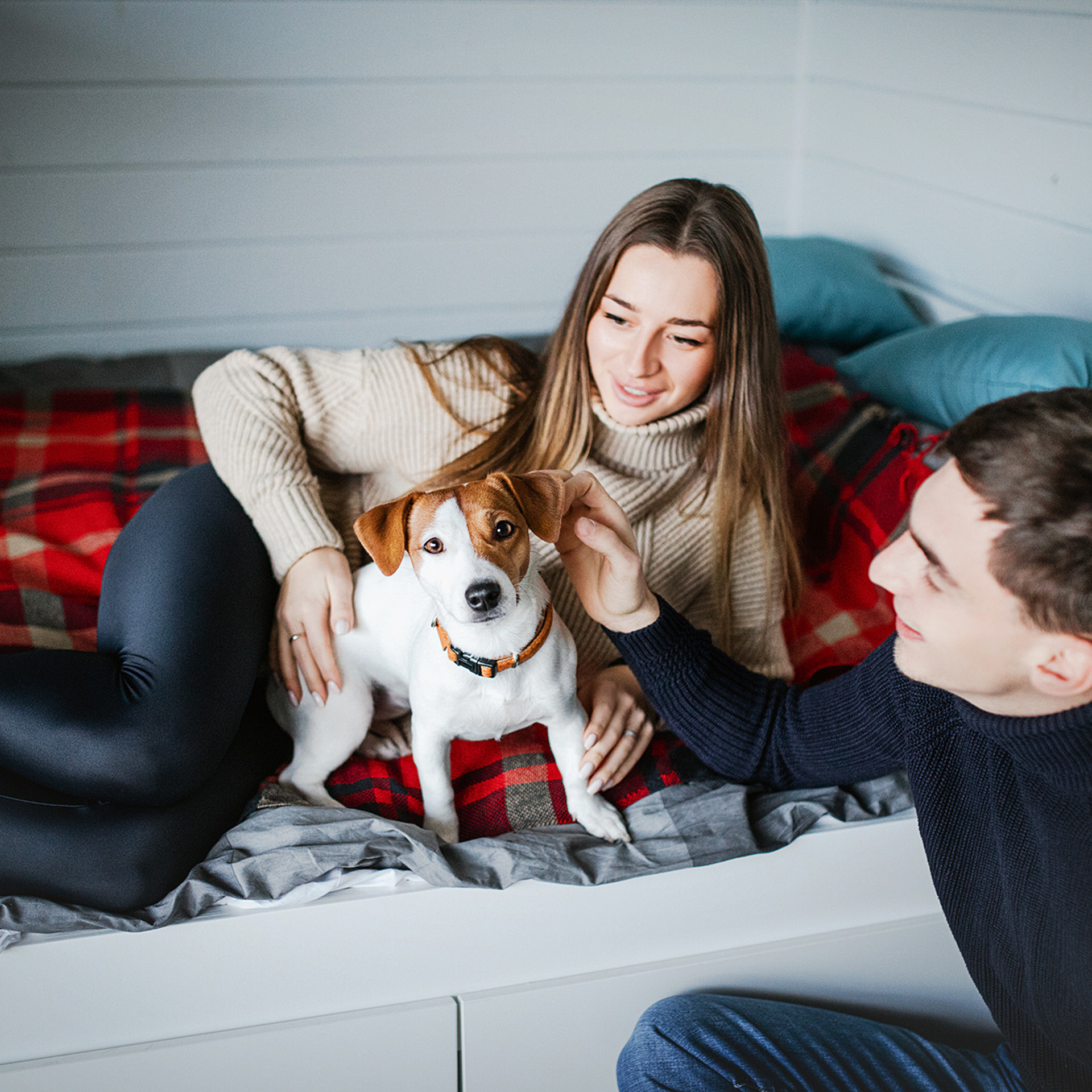 Отзывы. Фотограф-анималист • love-story • Санкт-Петербург