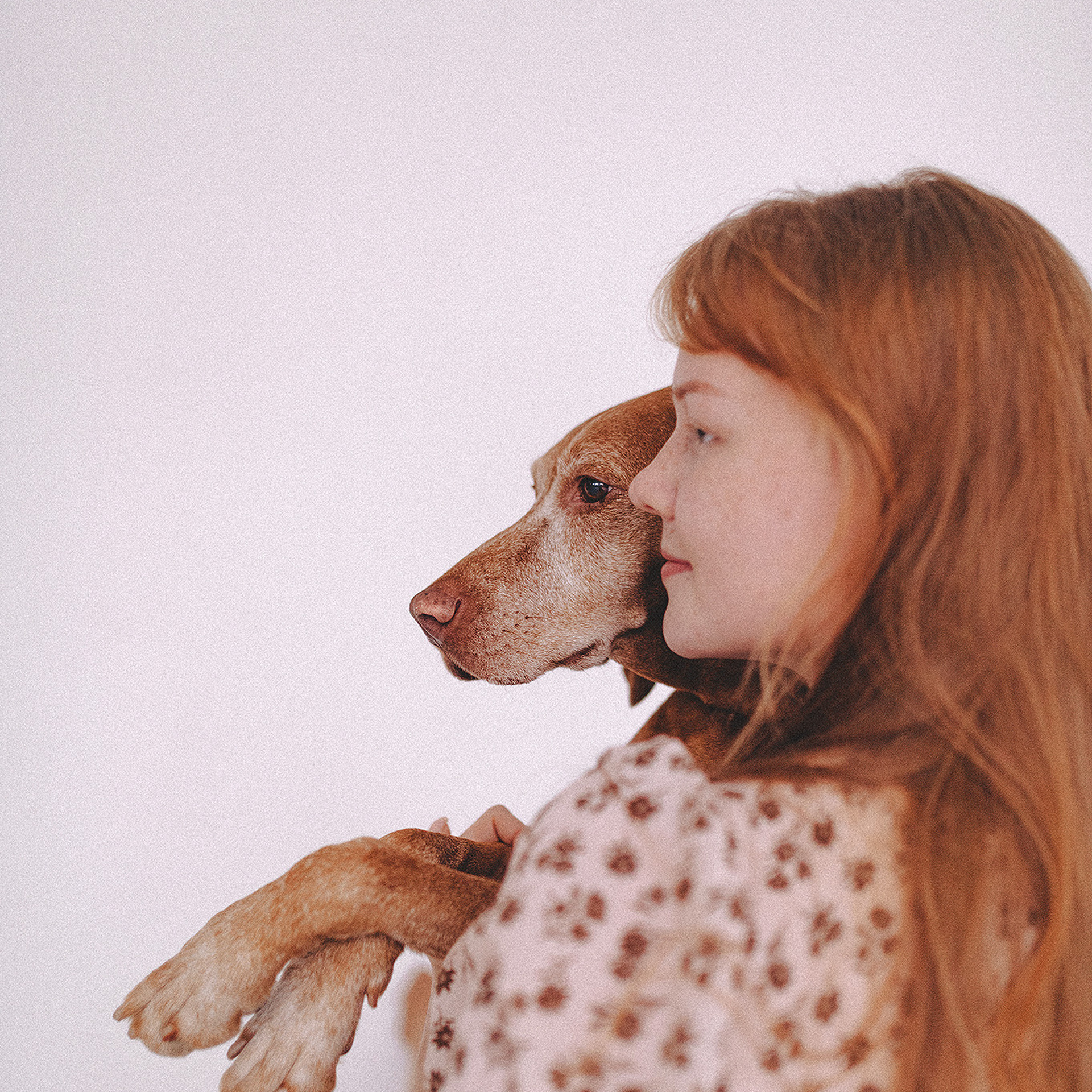 Паня, Алиса