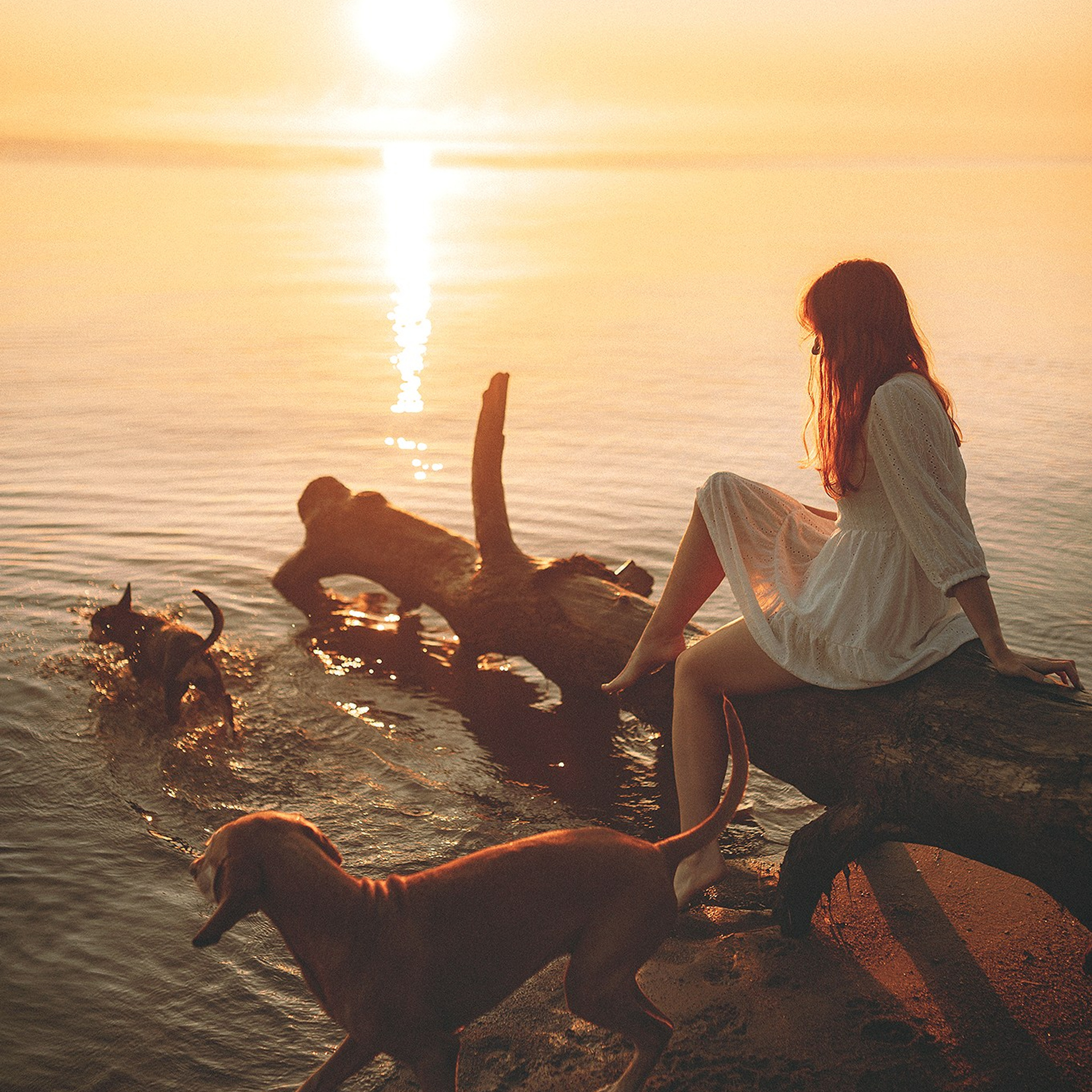 Паня, Ура, Алиса