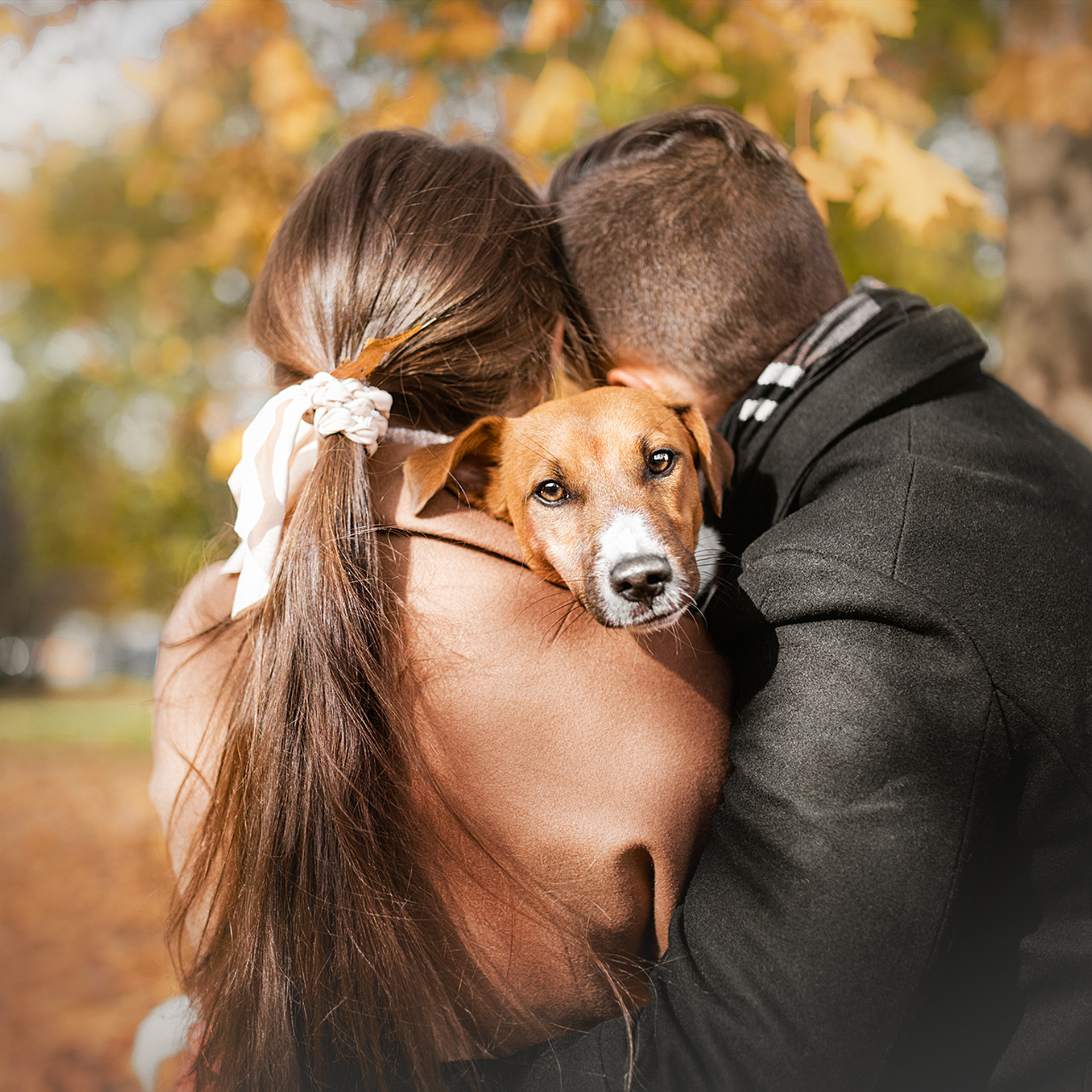 Ребята и Бумер