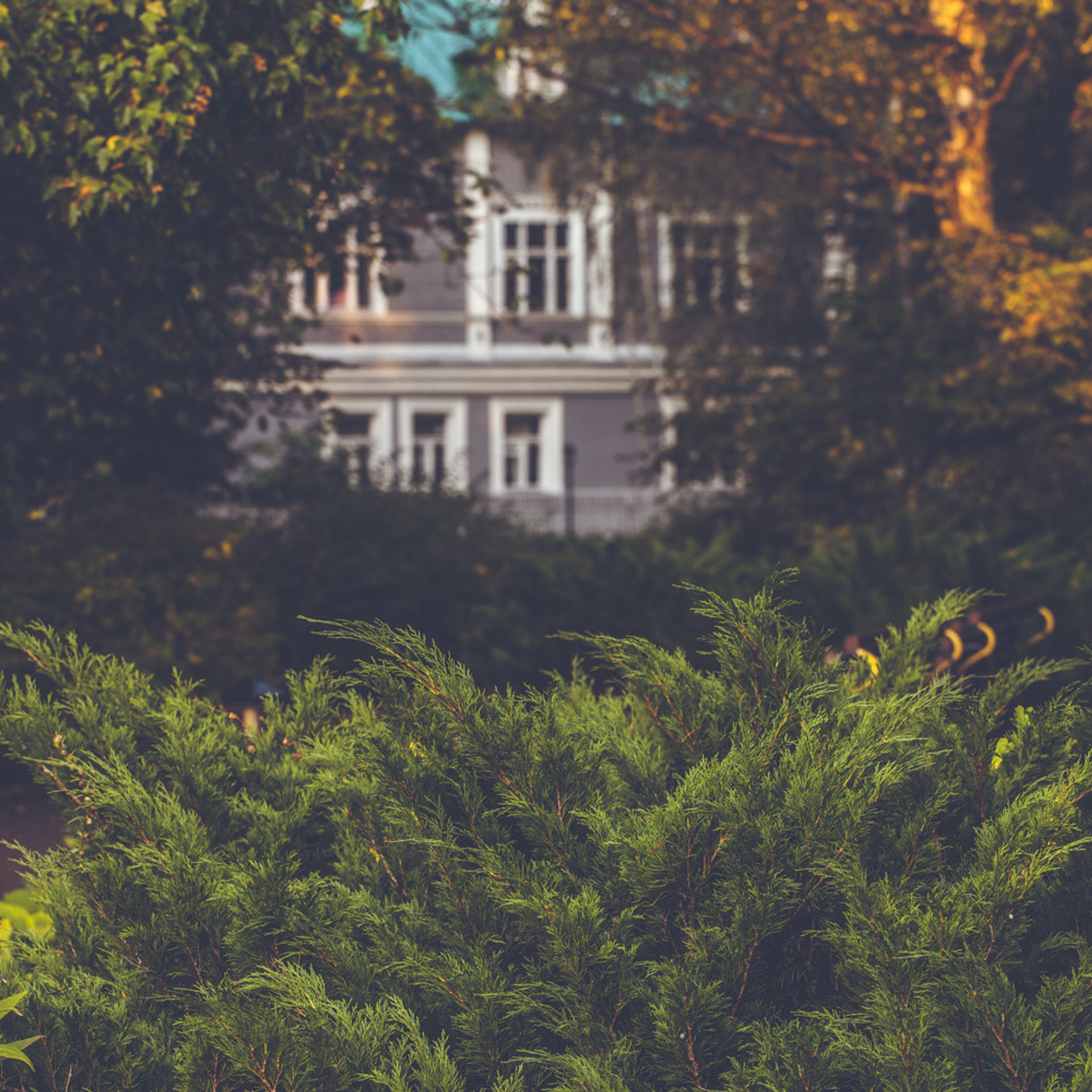 Клин. Музей П. И. Чайковского