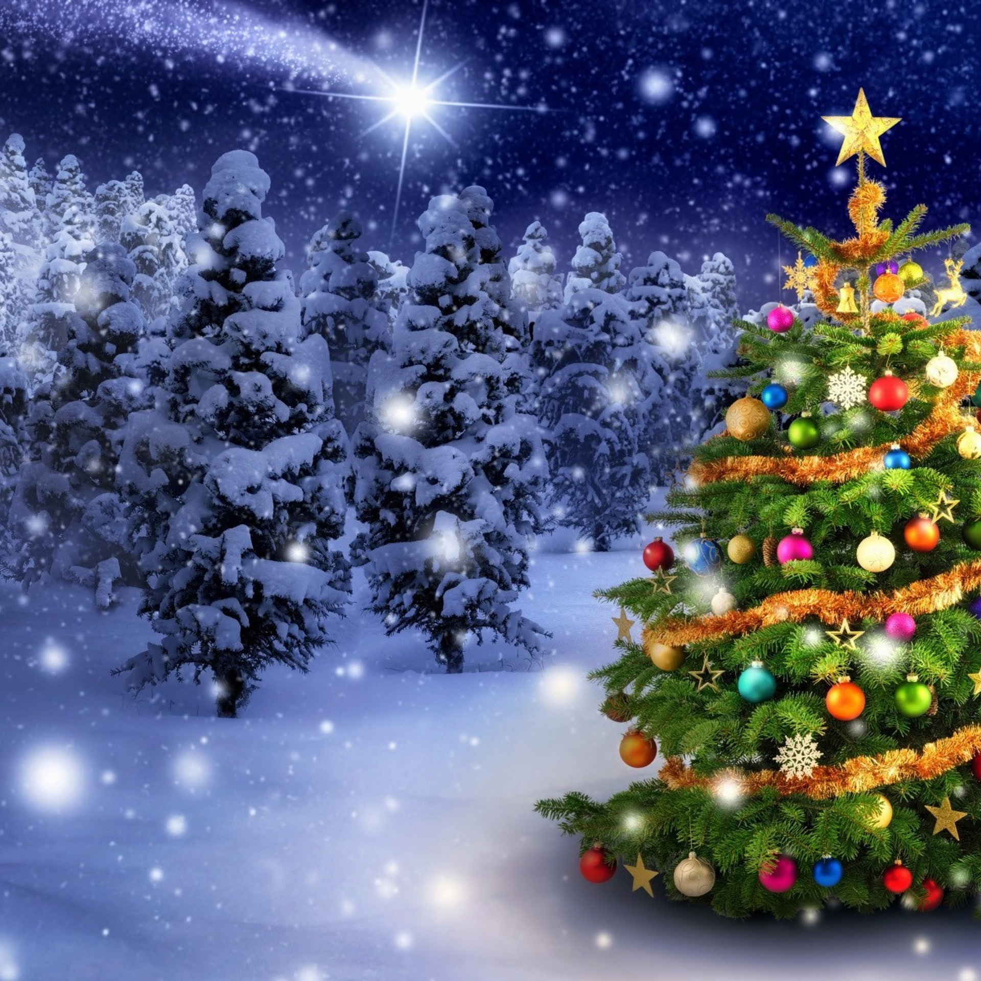 Отзывы. Свадебный и семейный фотограф Нина Полеско