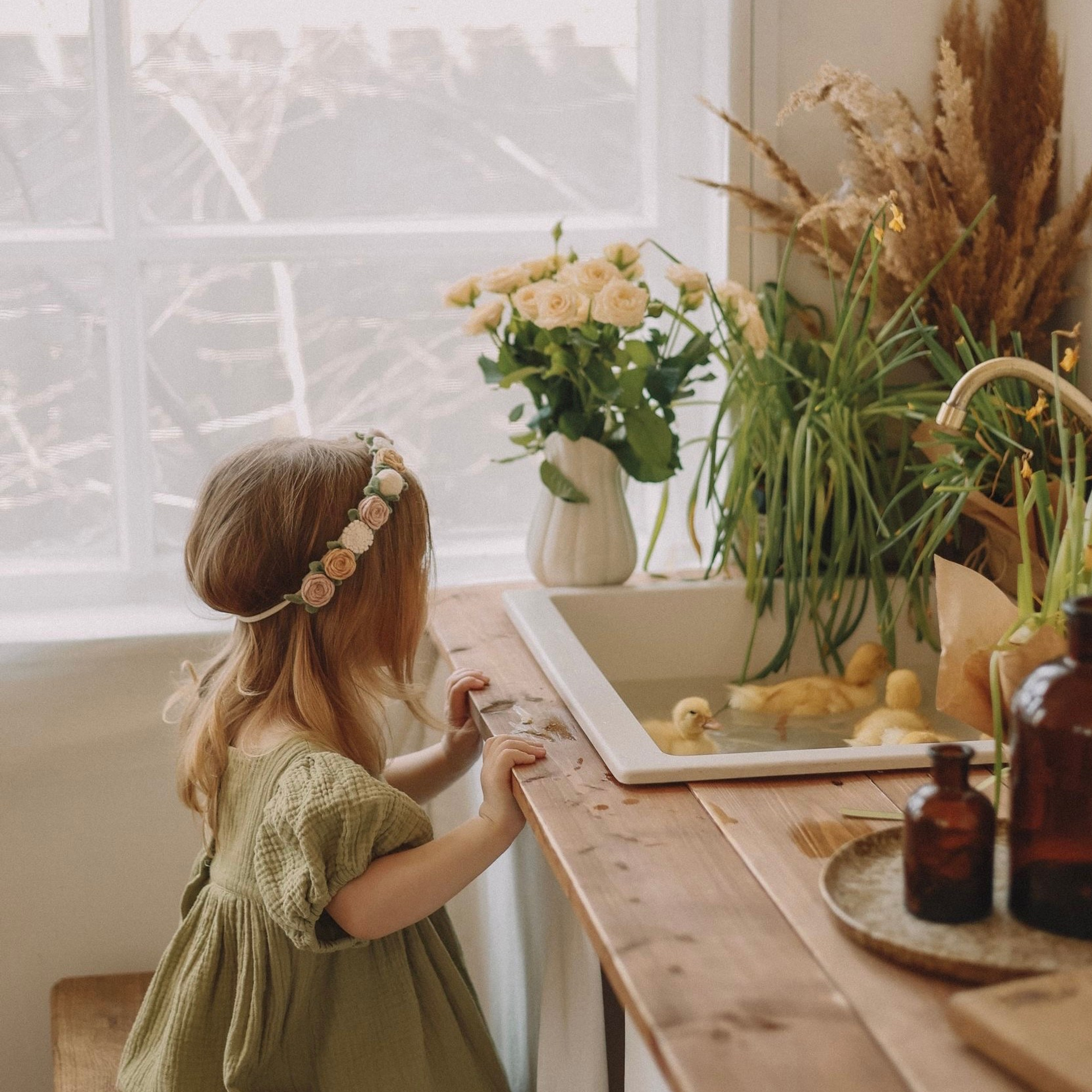 Утиные истории