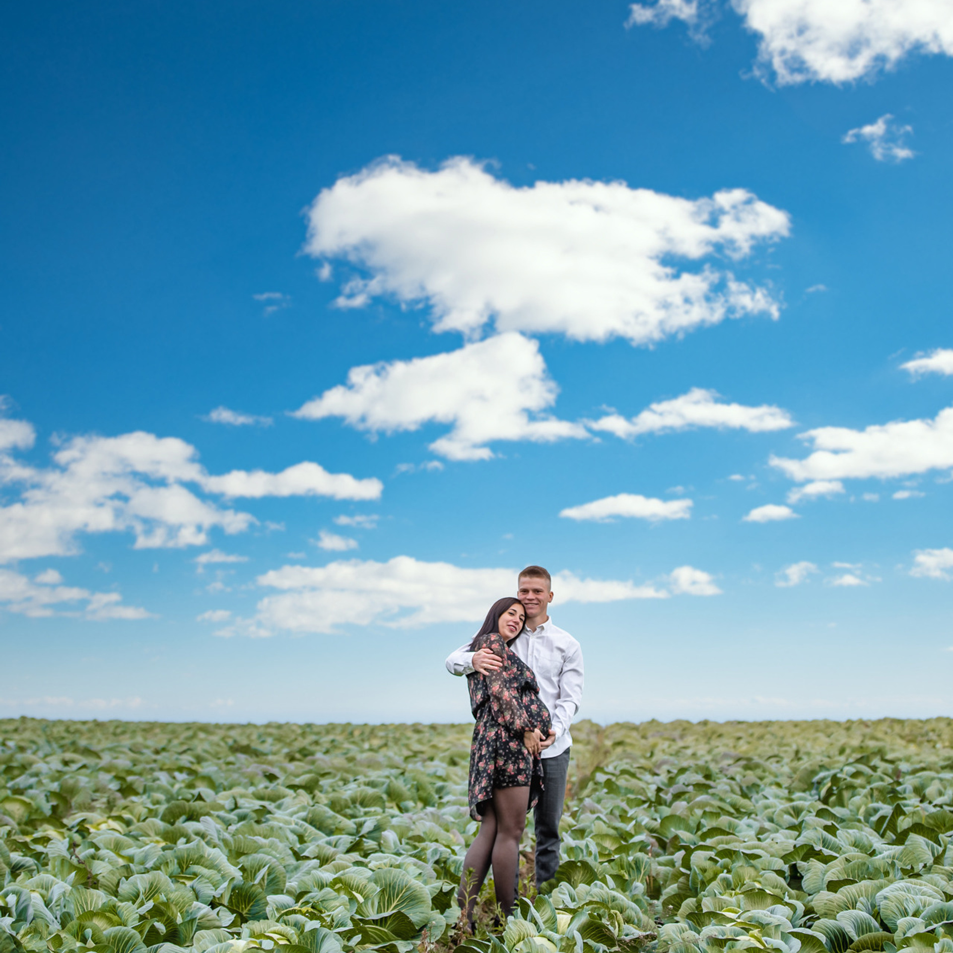 Мои молодожены