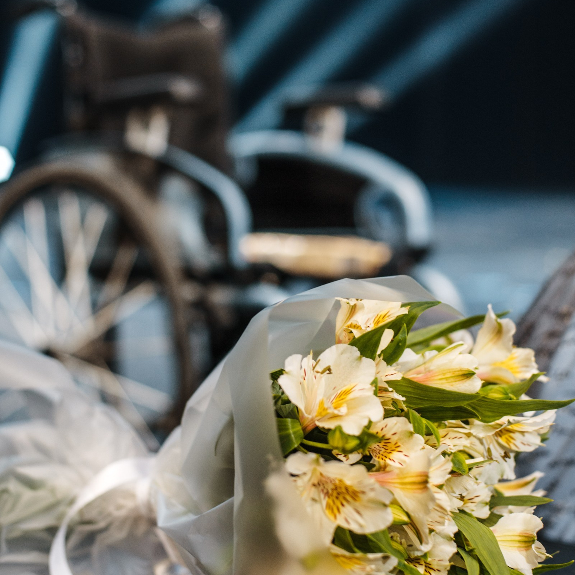 Благотворительный концерт «Добрые Люди», Москва • Апрель 2023