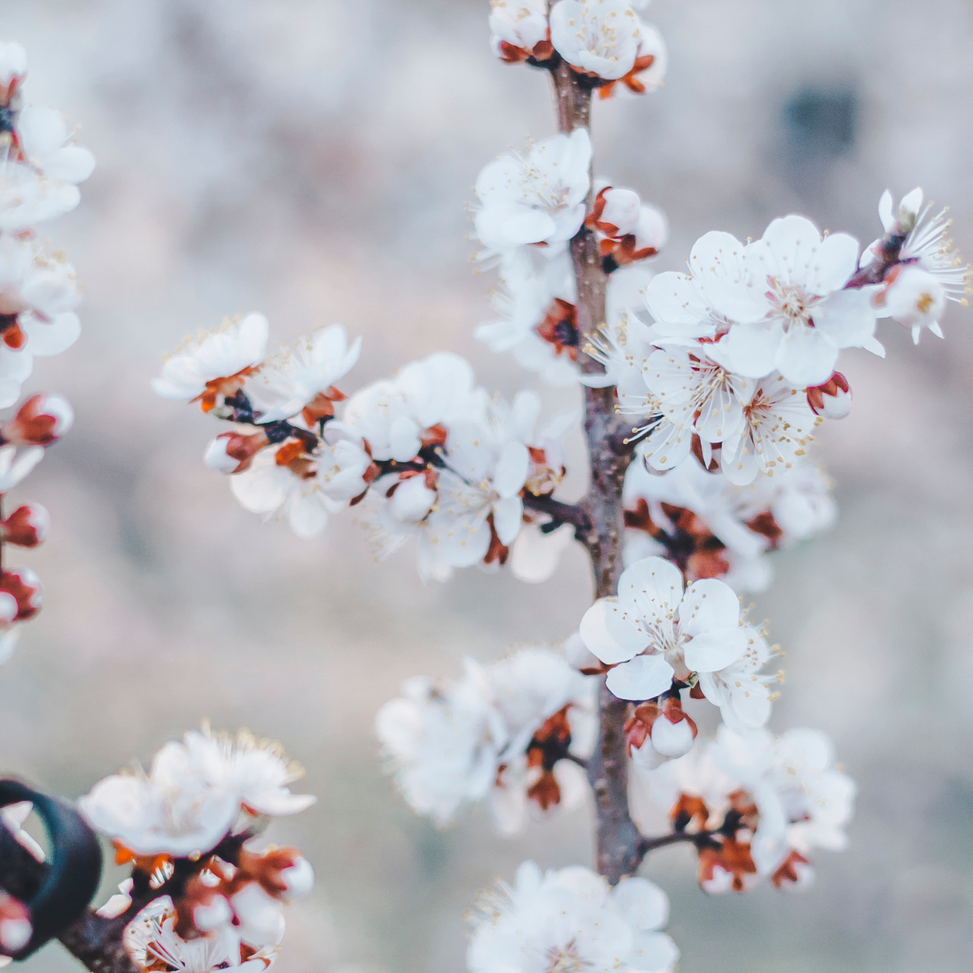 Уральск. Казахстан (май 2019)