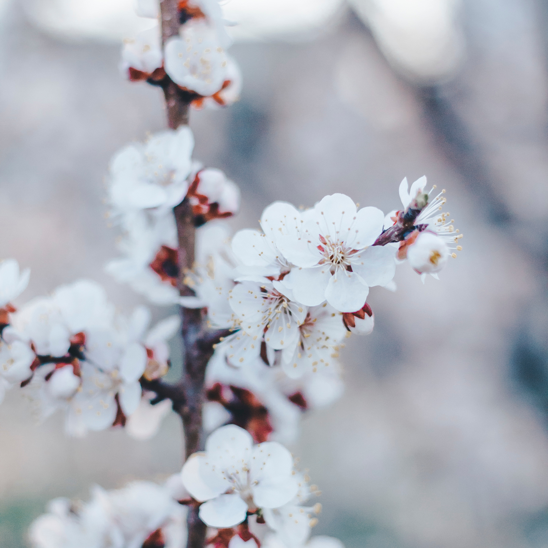 Уральск. Казахстан (май 2019)