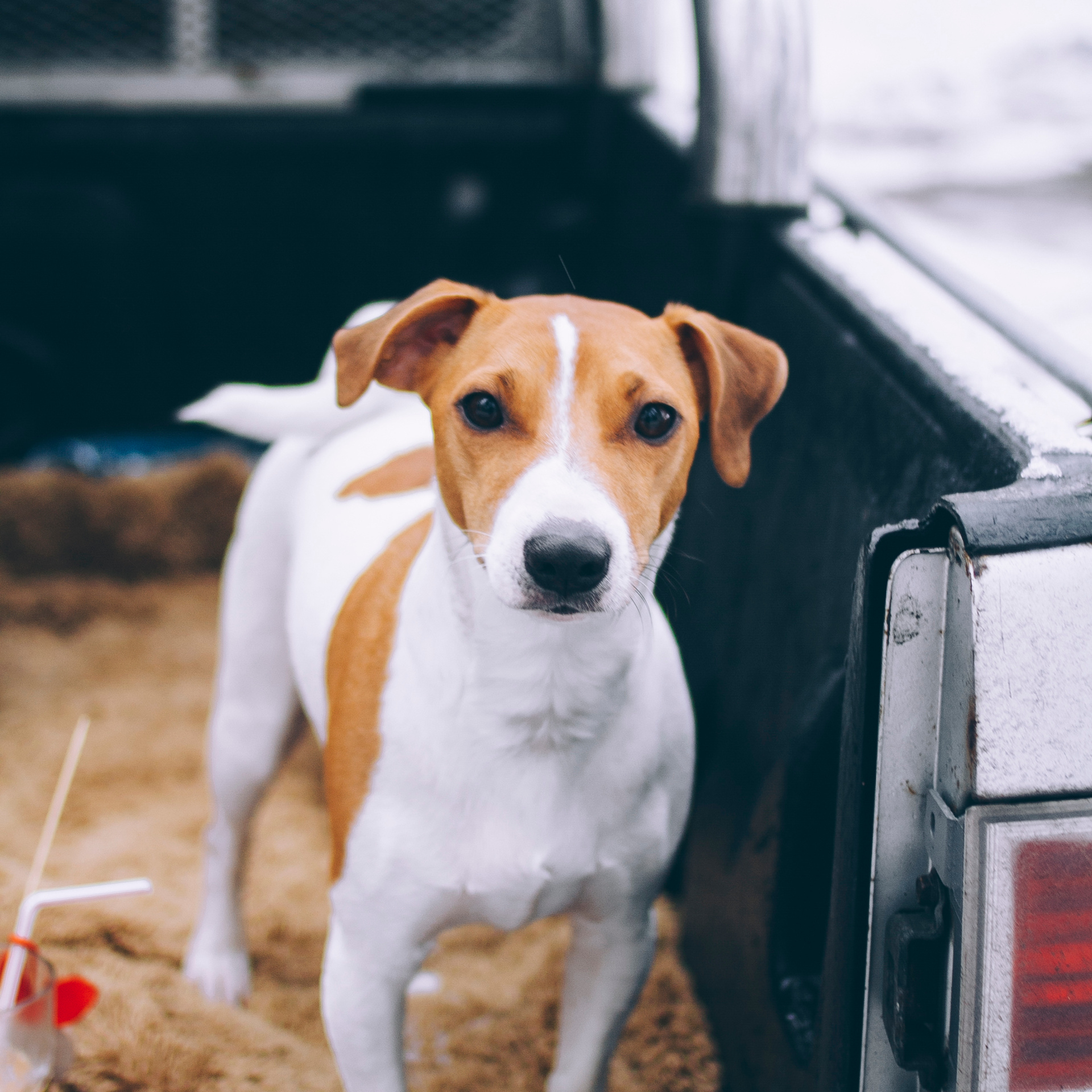 Финляндия (Новый год 2018)