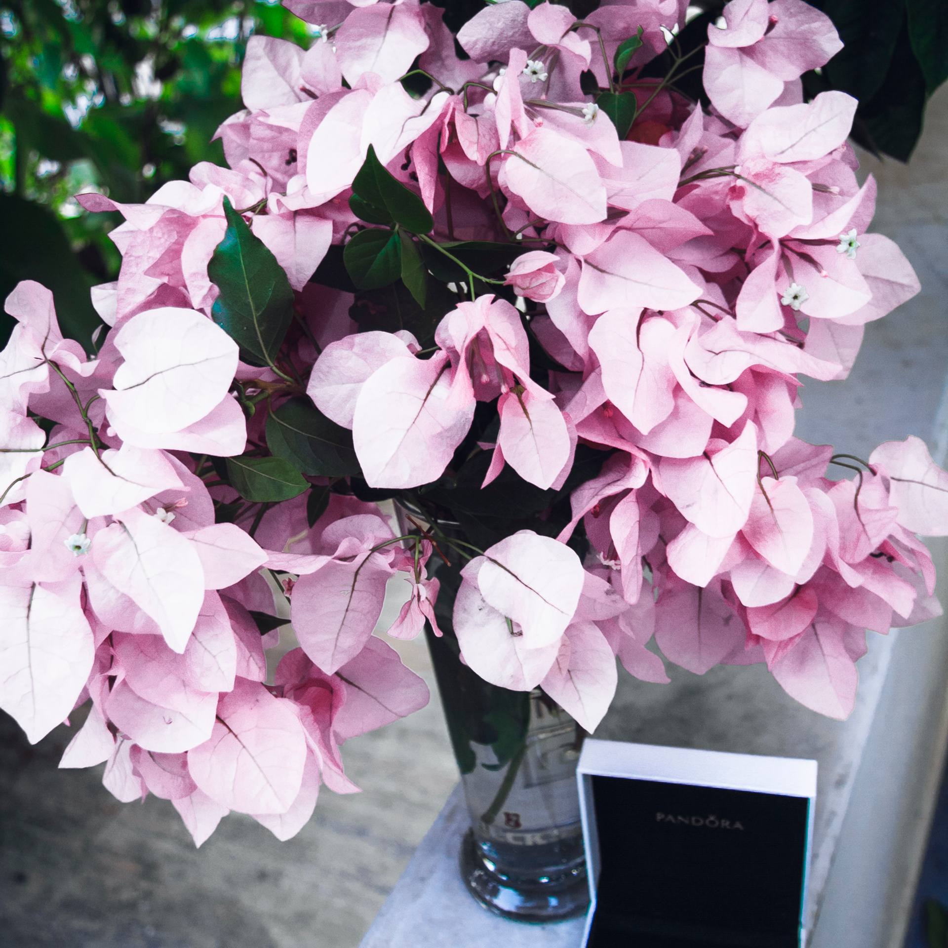 Кемер Турция (июль 2018)