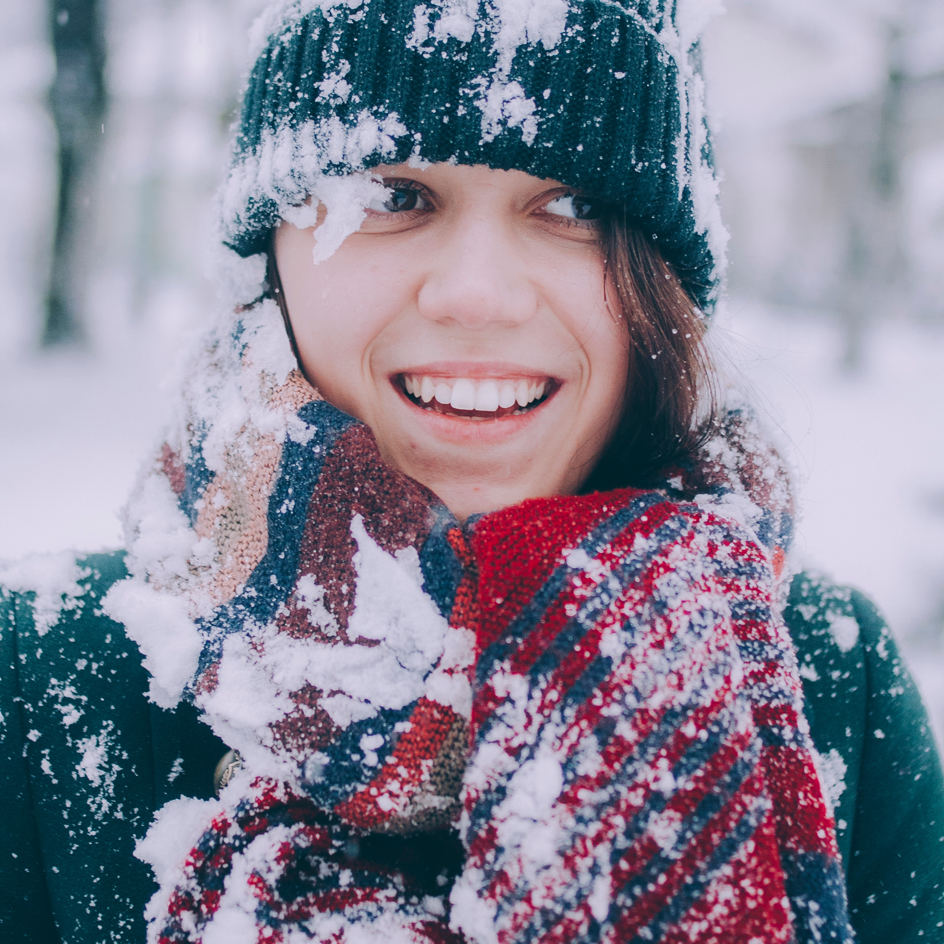 Сочи (декабрь 2017)